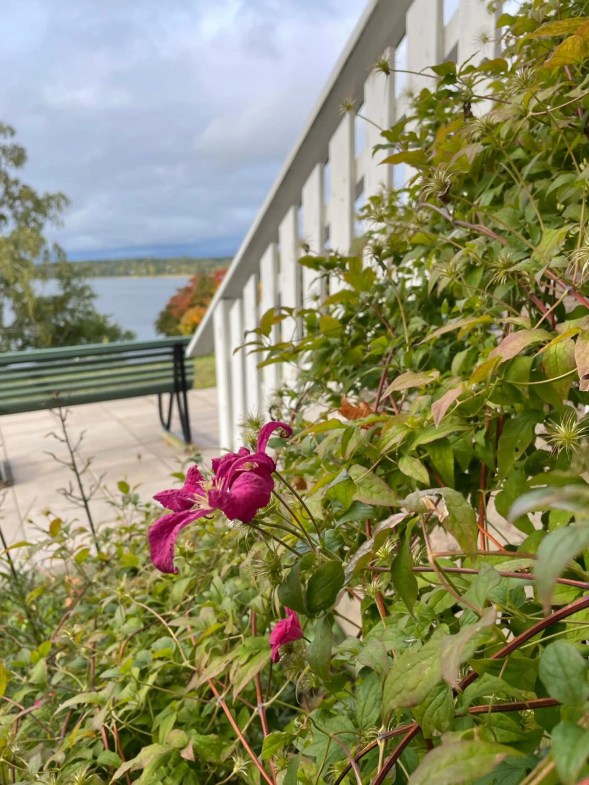Labbnäs Semesterhem, Radhuset