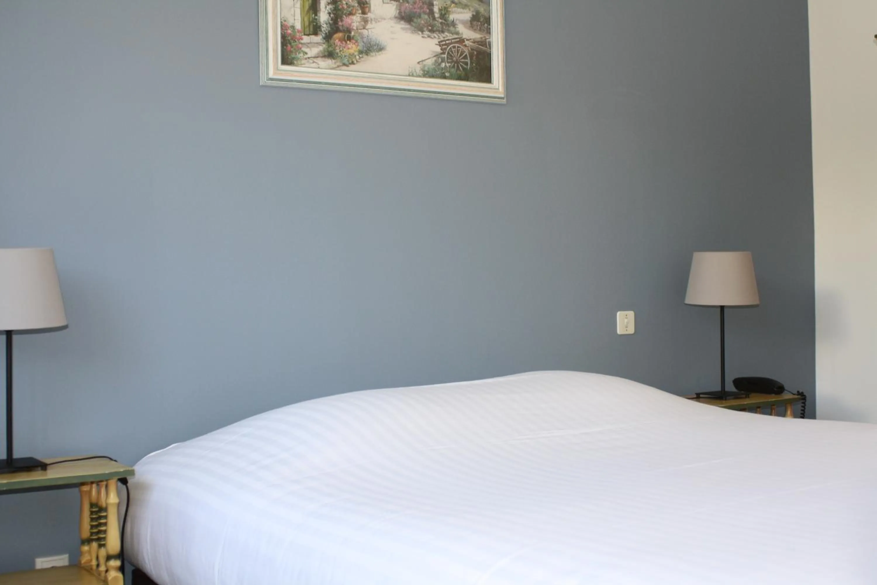 Bed in Logis Hotel du Midi