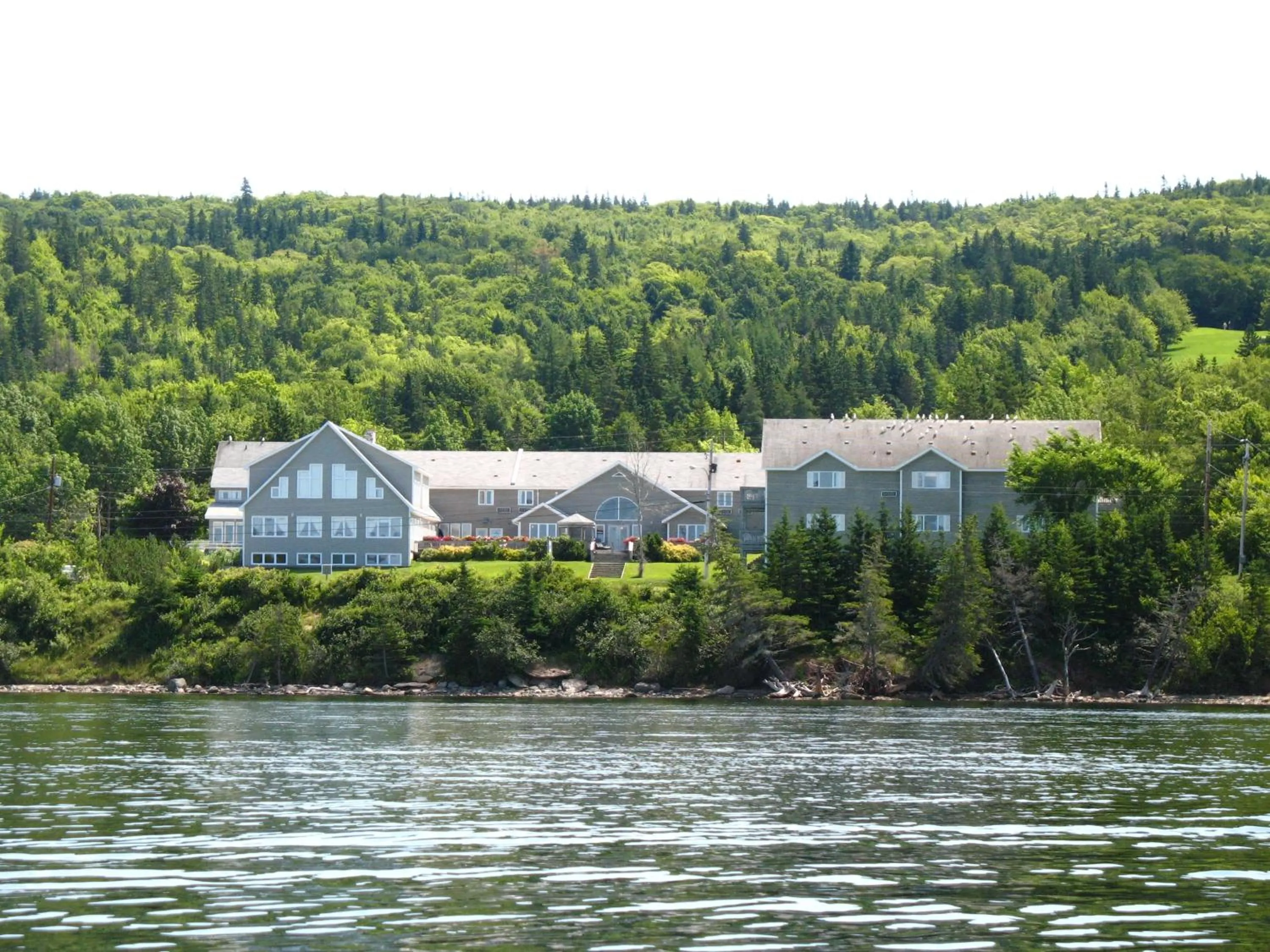 Natural landscape in Dundee Resort & Golf Club