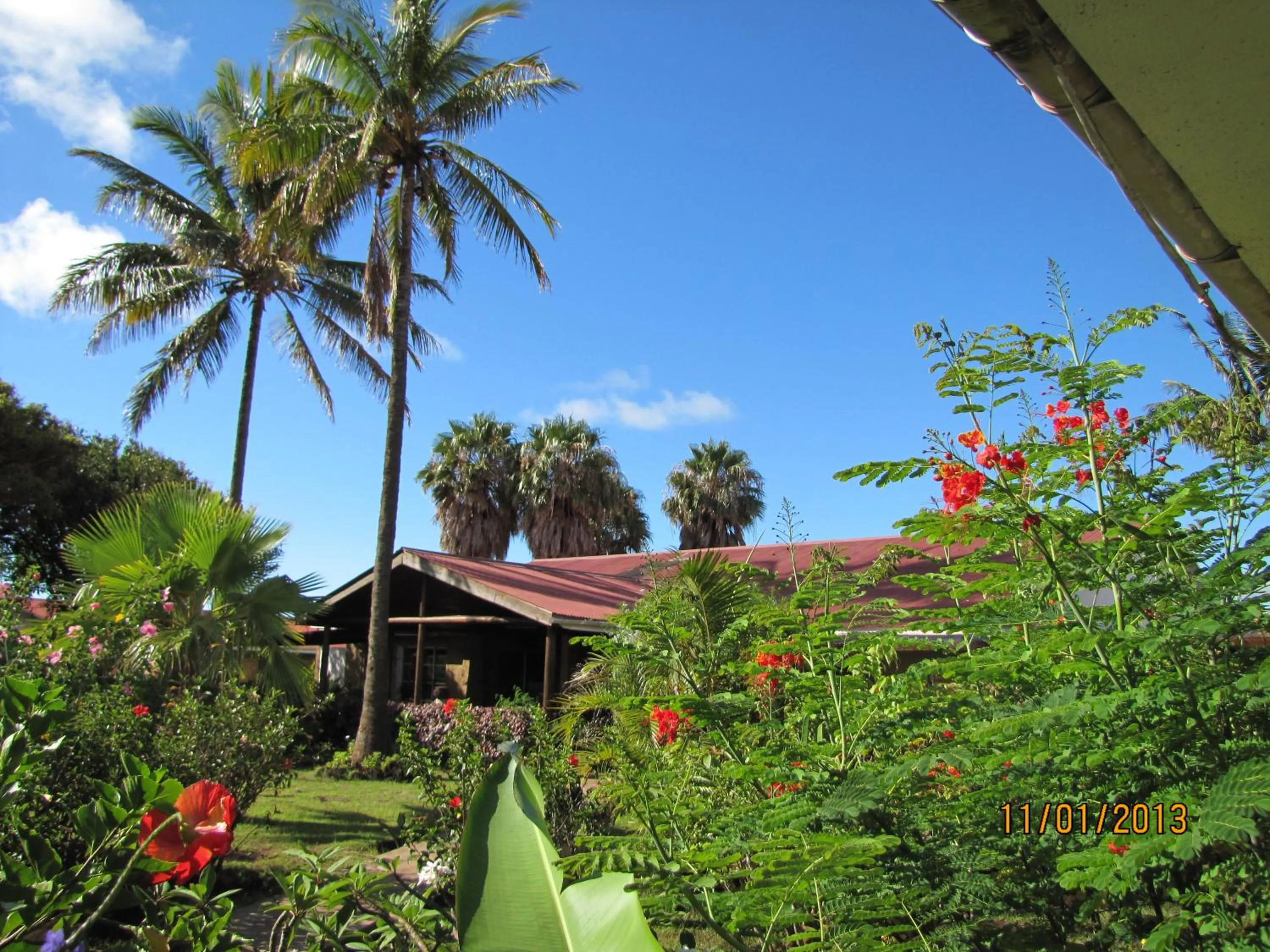 Garden in Hotel Manutara