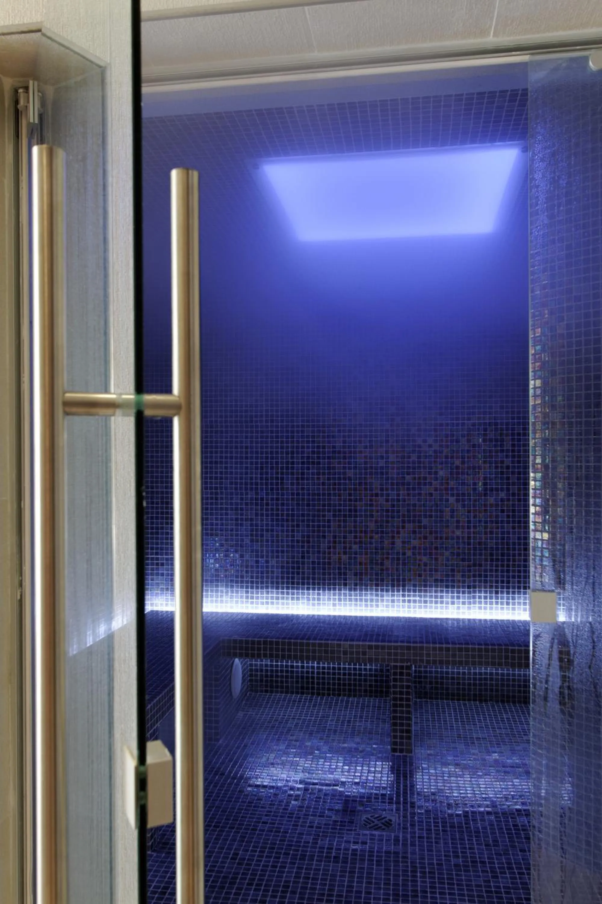 Spa and wellness centre/facilities in Mercure Brignoles Golf de Barbaroux & Spa