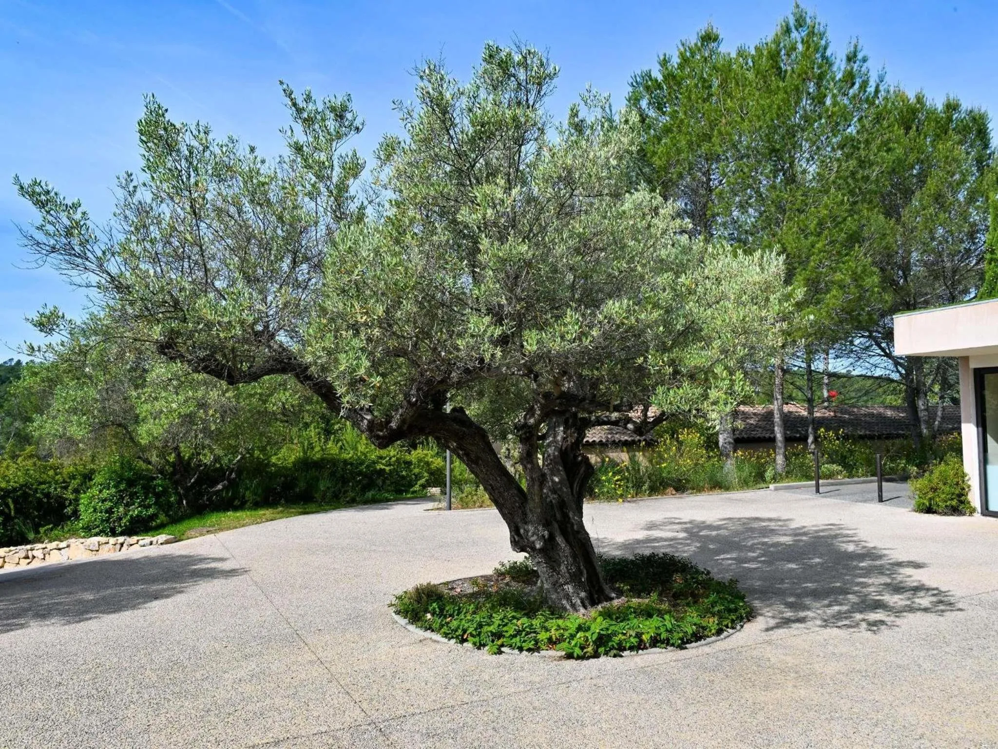 Spa and wellness centre/facilities in Mercure Brignoles Golf de Barbaroux & Spa