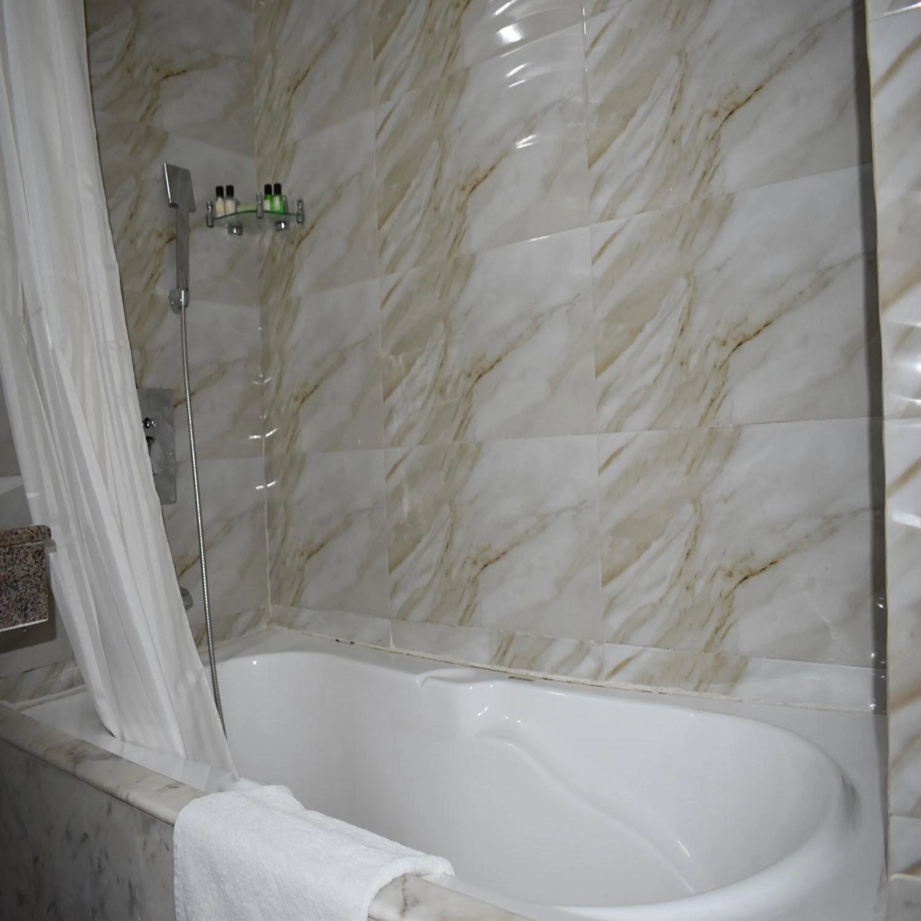 Bathroom in HOTEL ANAND INTERNATIONAL