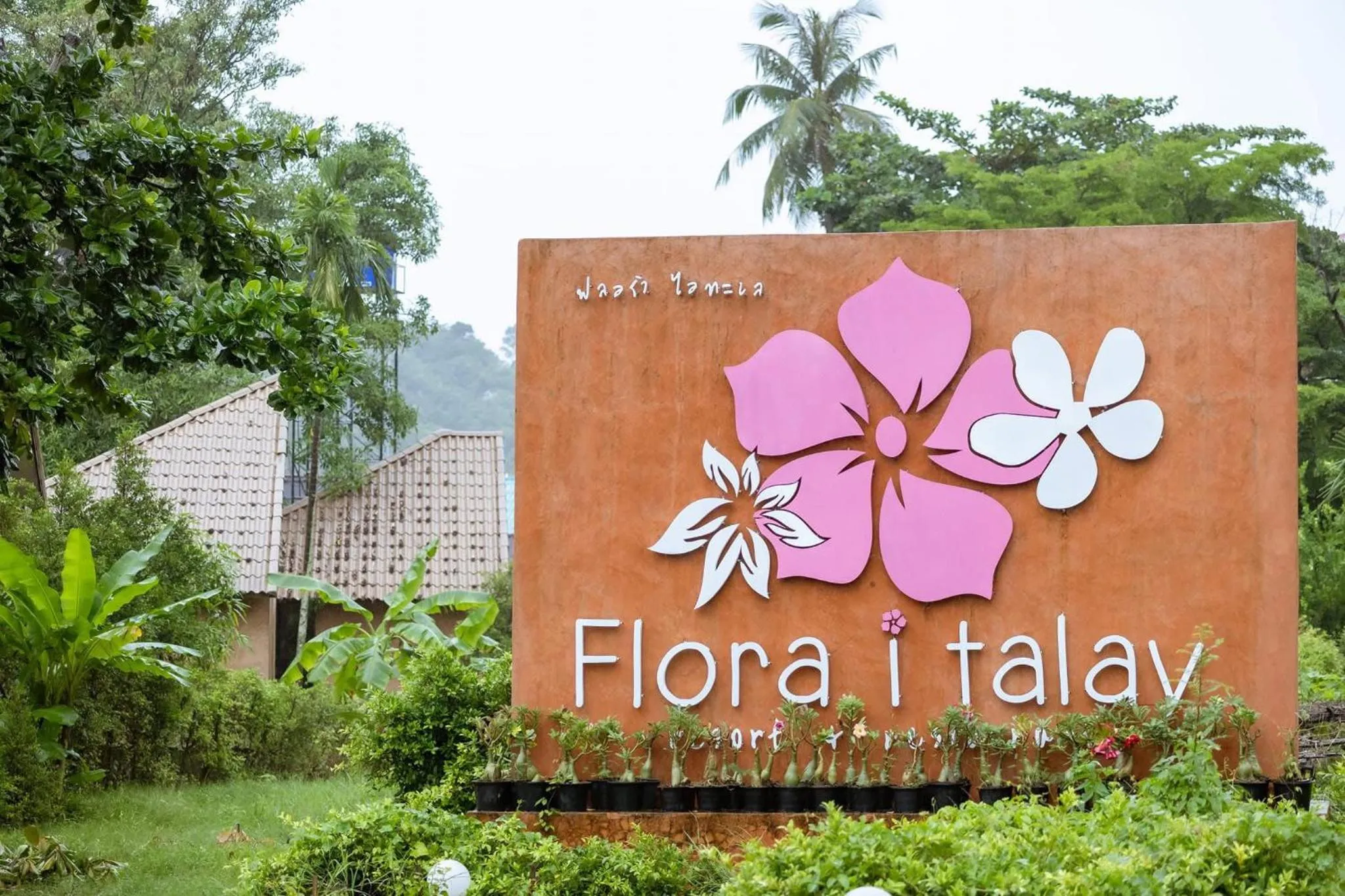 View (from property/room) in Flora I Talay