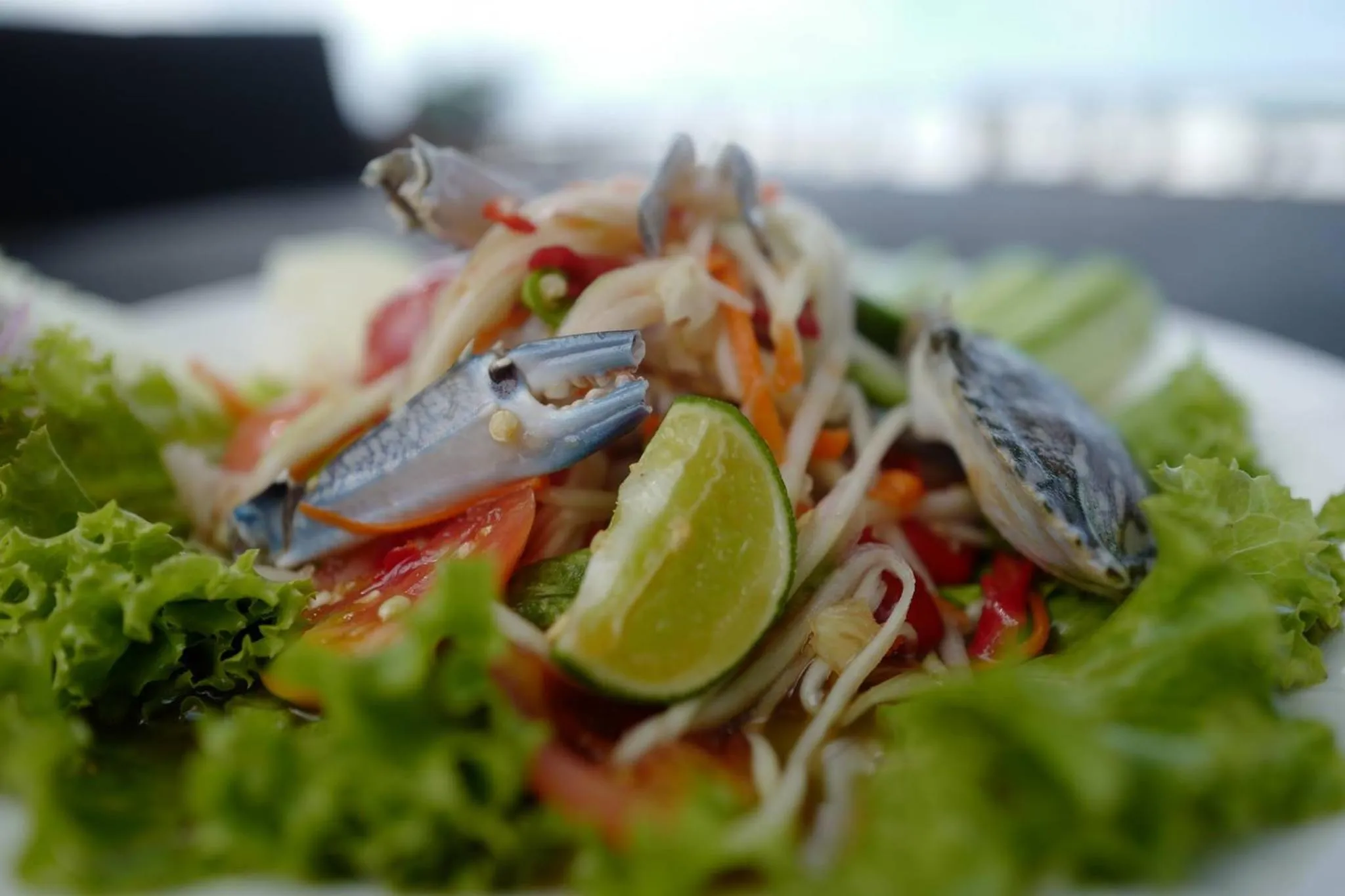 Food and drinks in Flora I Talay