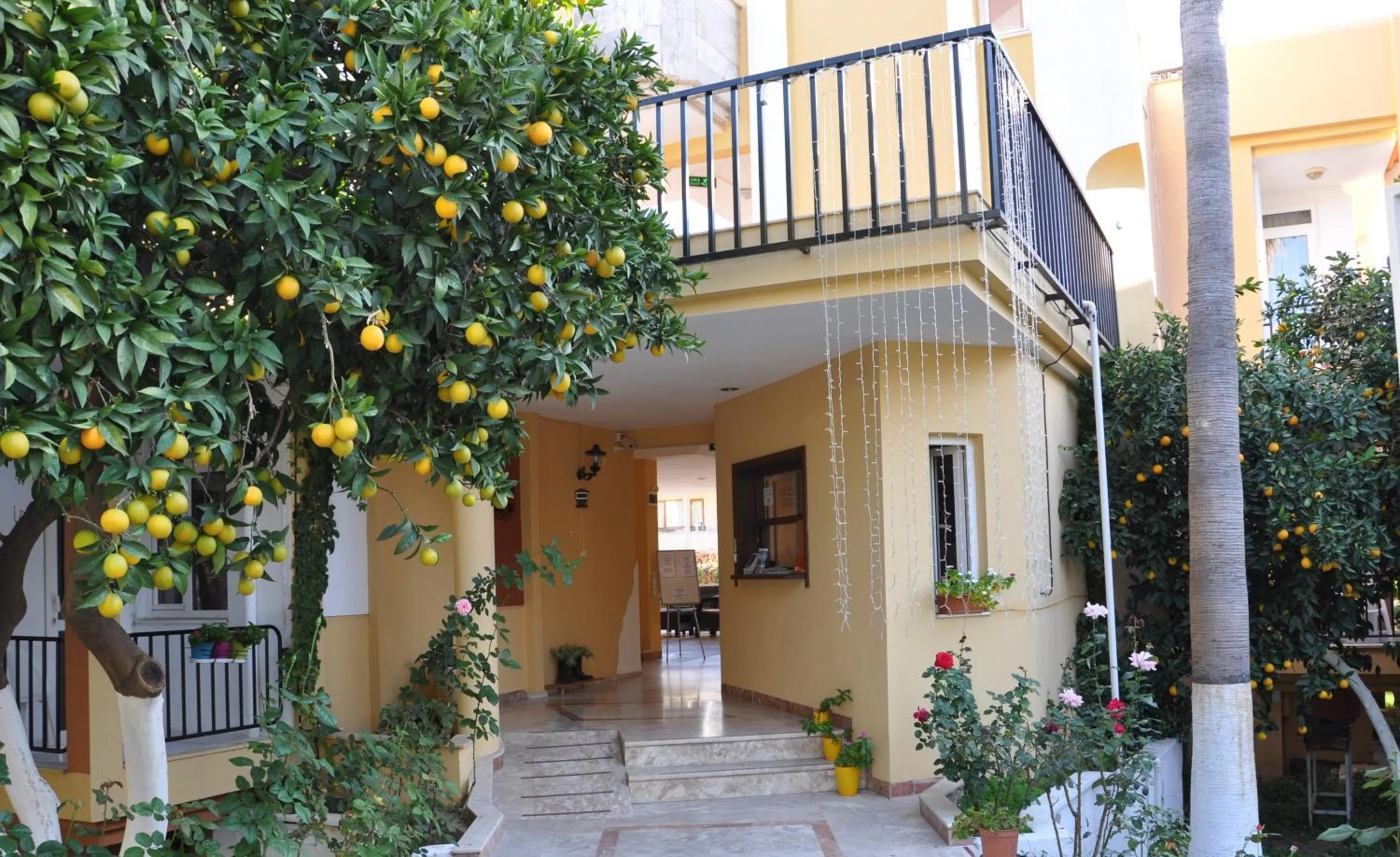 Bird's eye view in Tuncer Garden Hotel