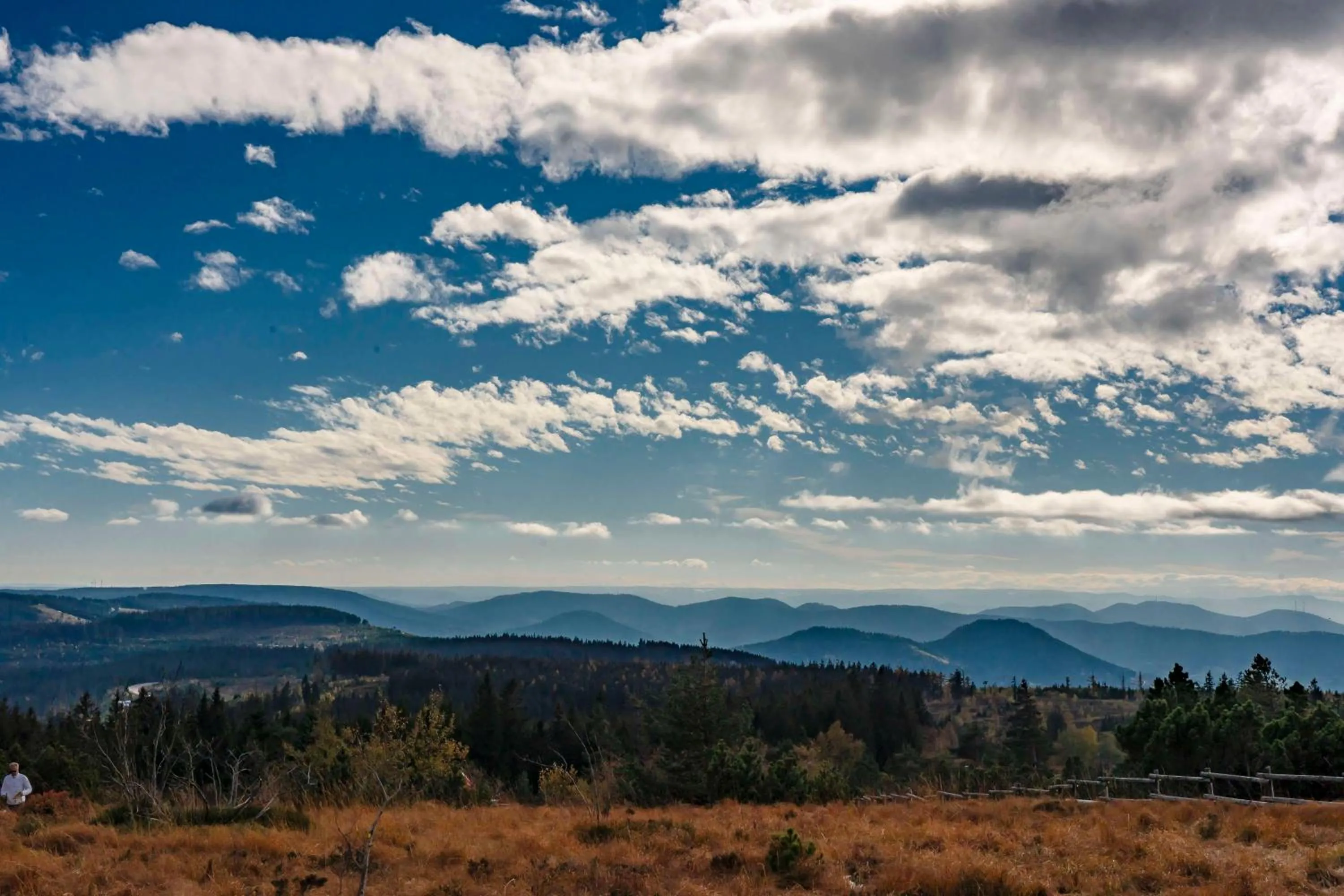 Nearby landmark in Wellness-& Nationalpark Hotel Schliffkopf, BWSC