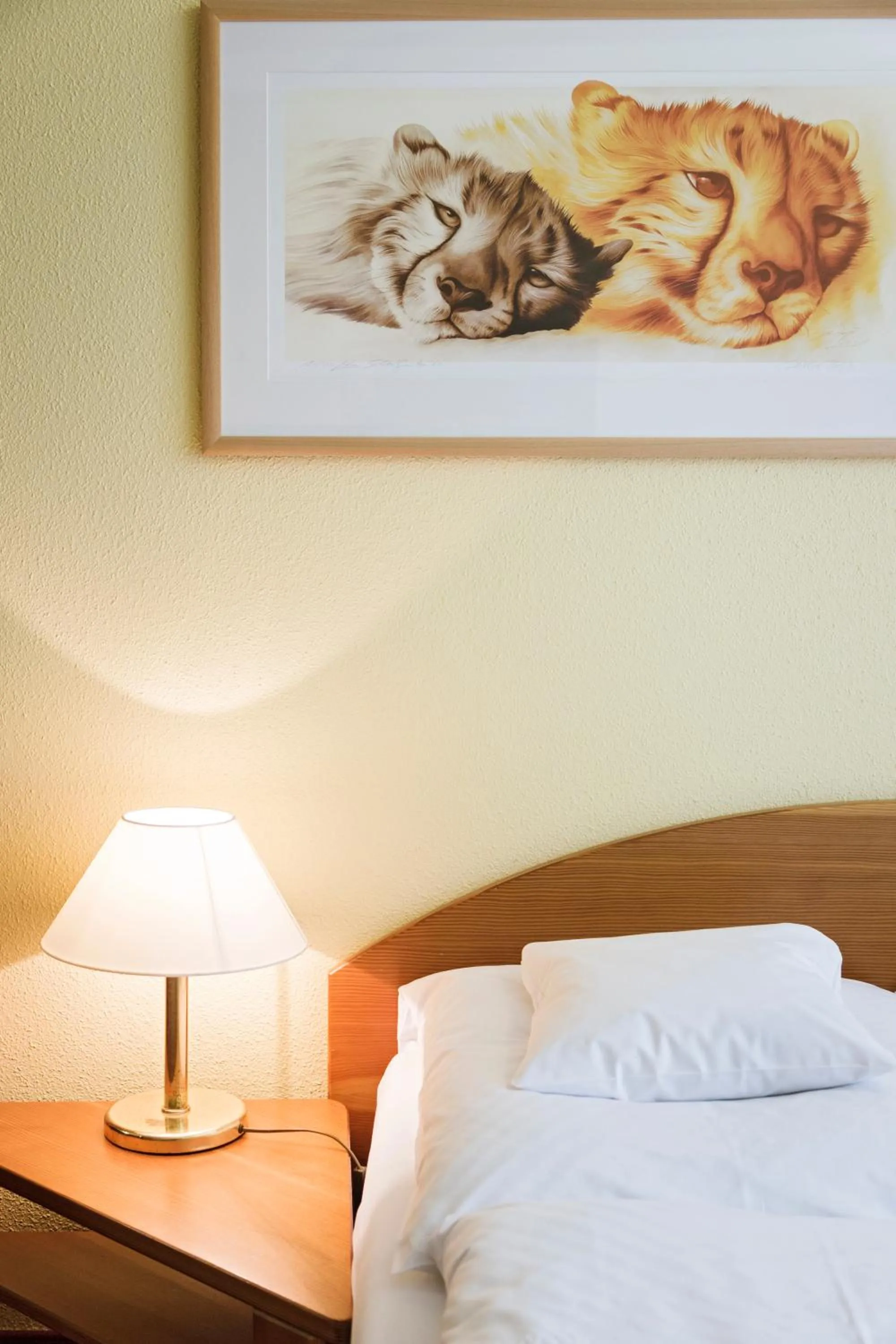 Photo of the whole room, Bed in Wellness-& Nationalpark Hotel Schliffkopf, BWSC