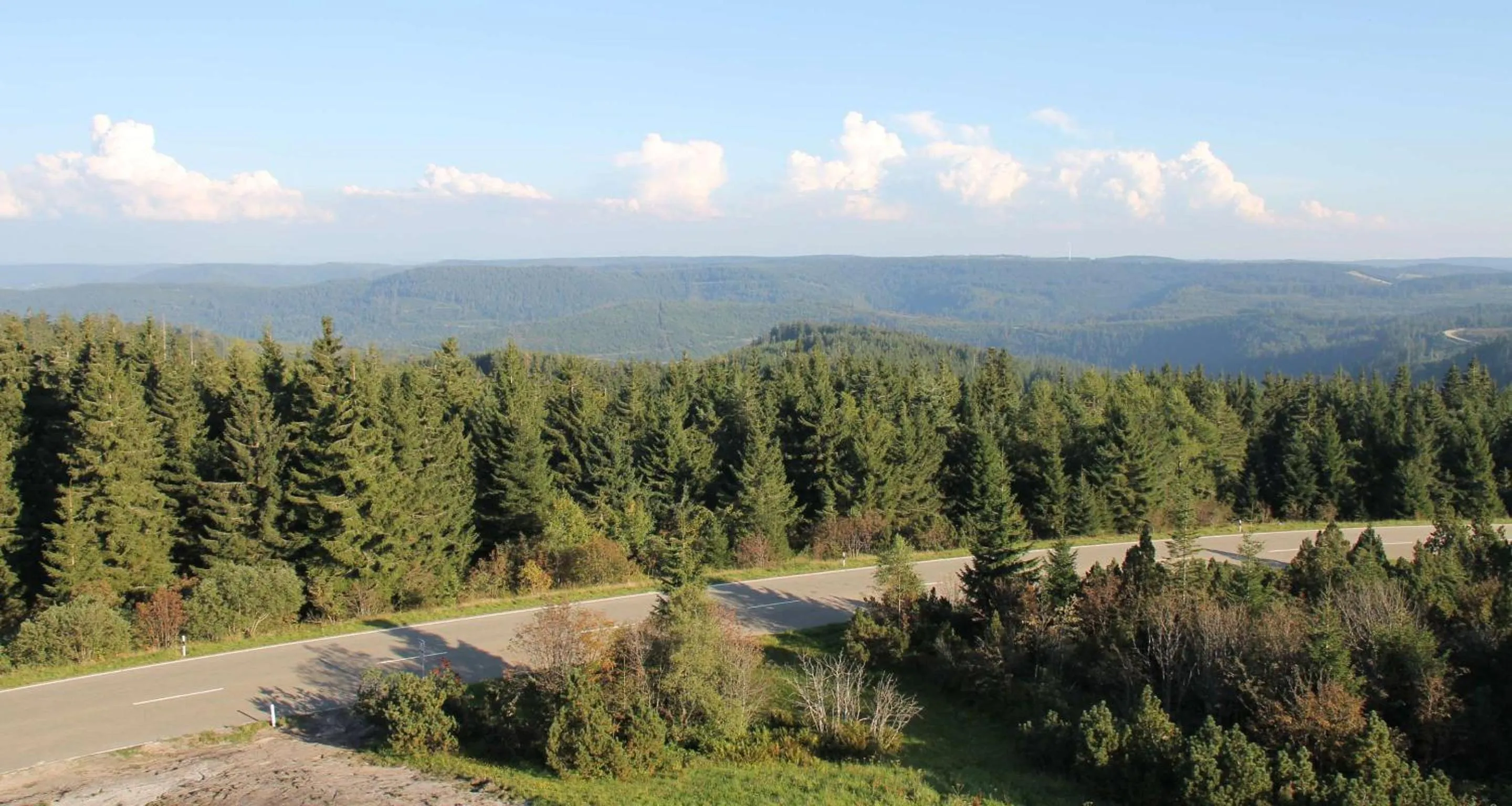 Nearby landmark in Wellness-& Nationalpark Hotel Schliffkopf, BWSC