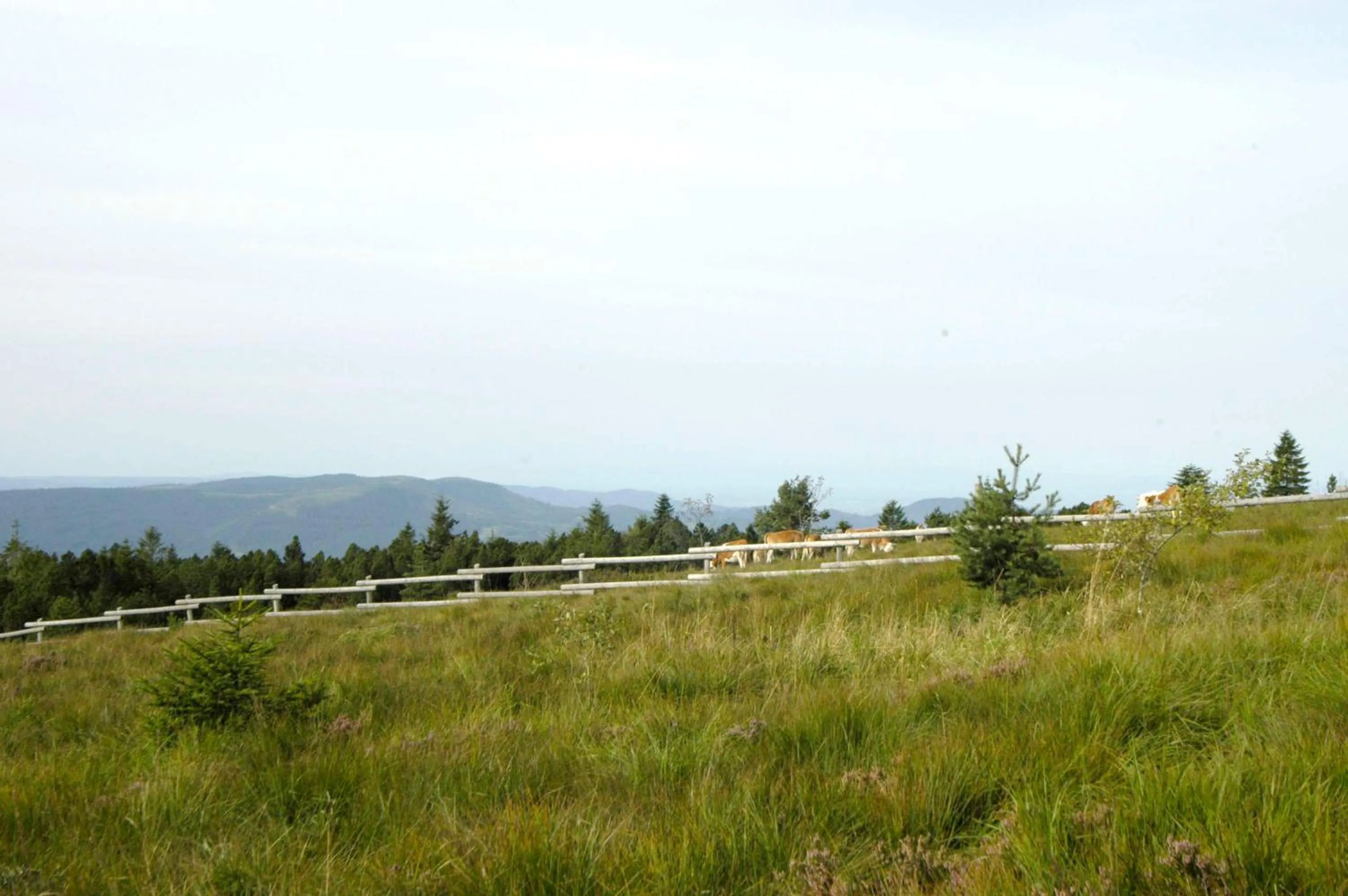 Nearby landmark in Wellness-& Nationalpark Hotel Schliffkopf, BWSC