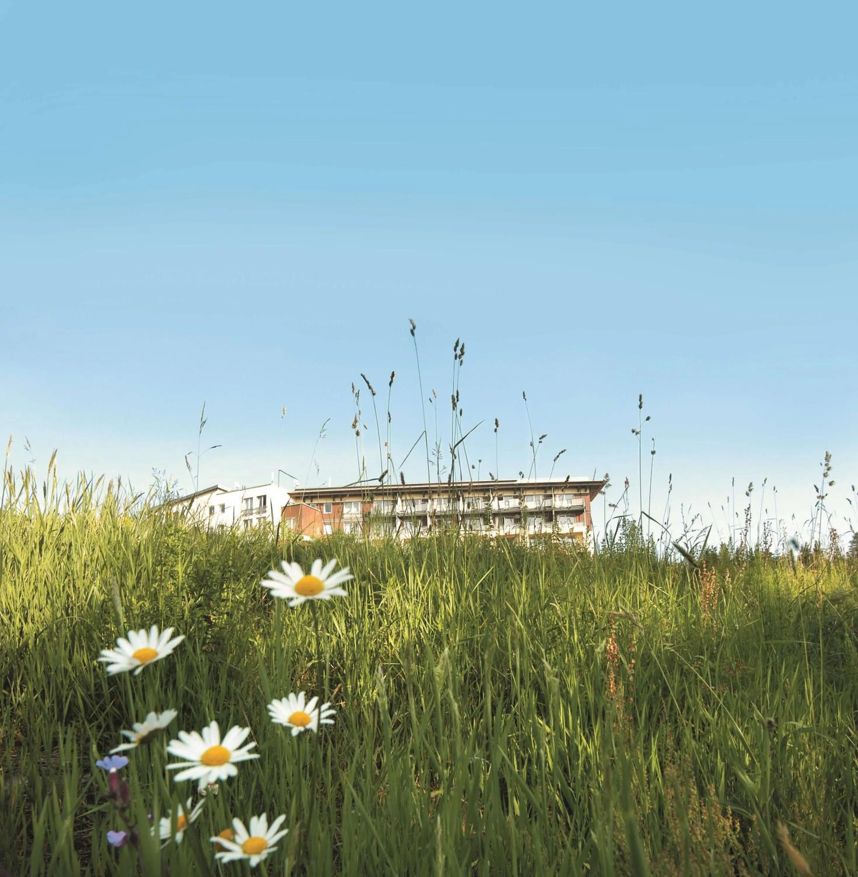 Property building in Wellness-& Nationalpark Hotel Schliffkopf, BWSC