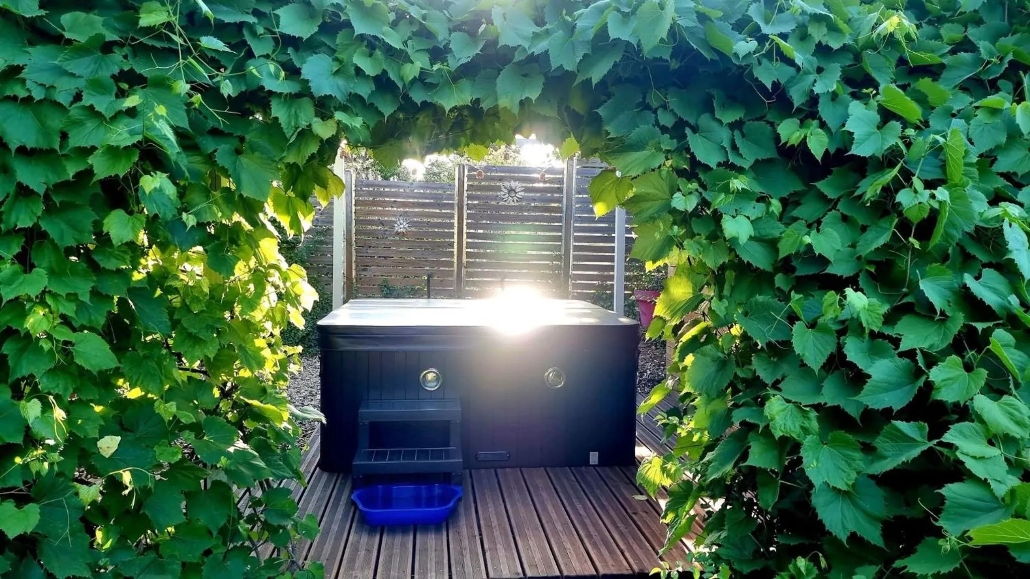 Cube Nature