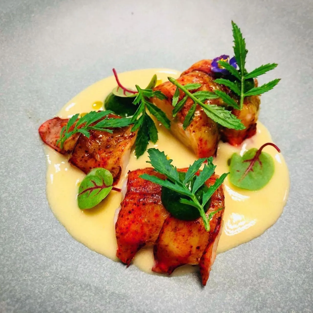 Suntara Wellness Resort & Hotel