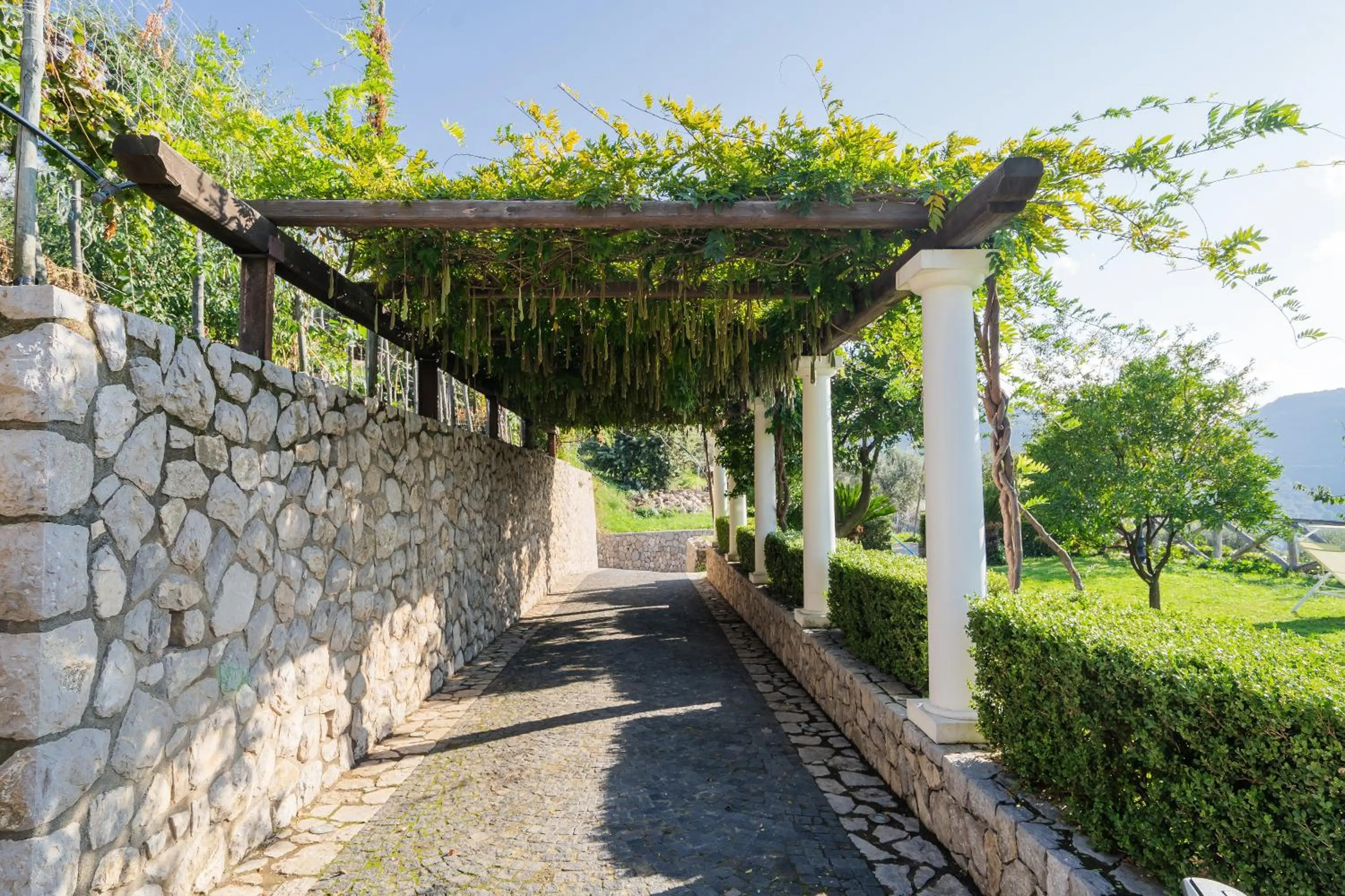 Garden in Villa Prota