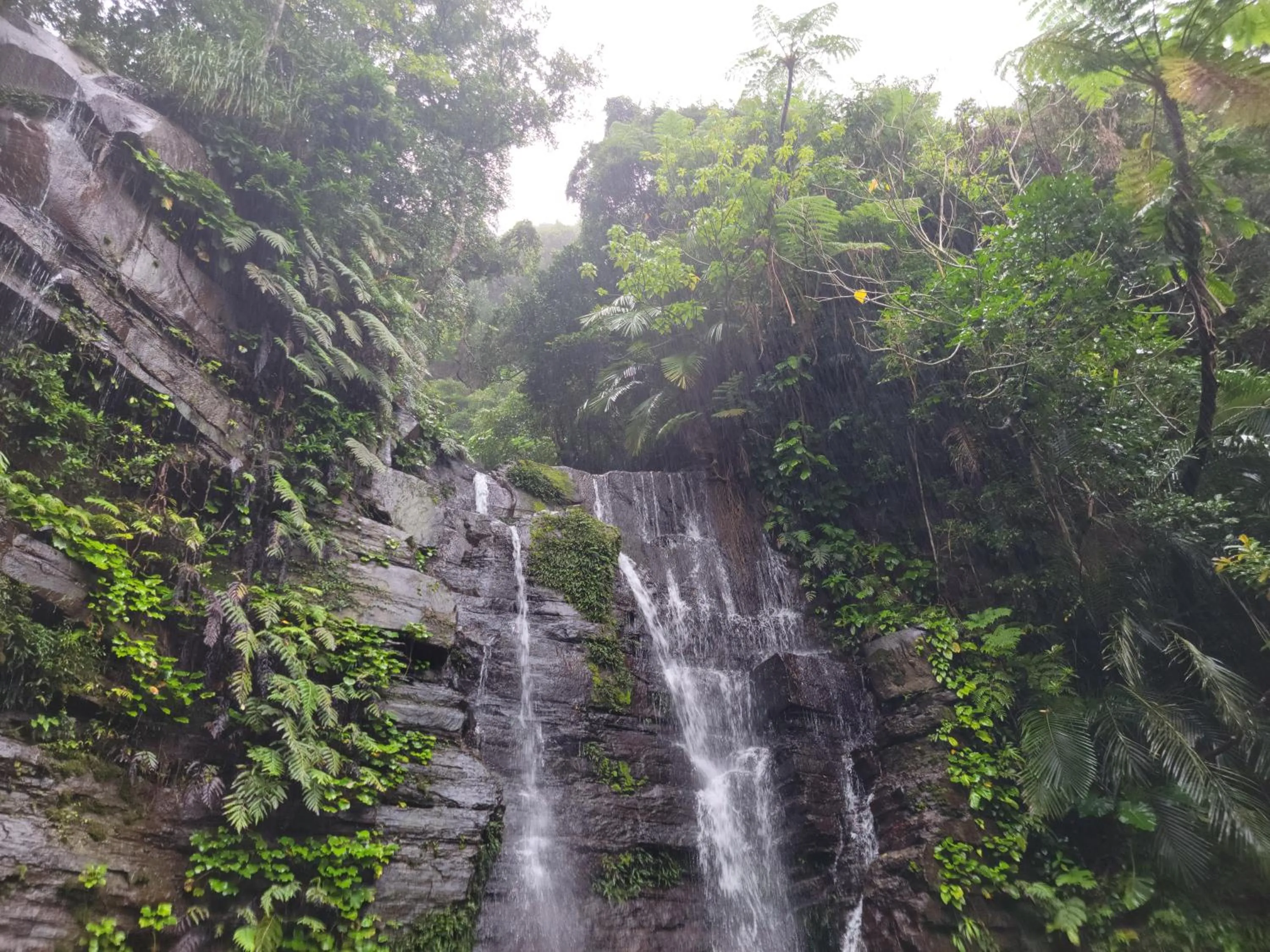 Nearby landmark in Vessel Hotel Ishigakijima