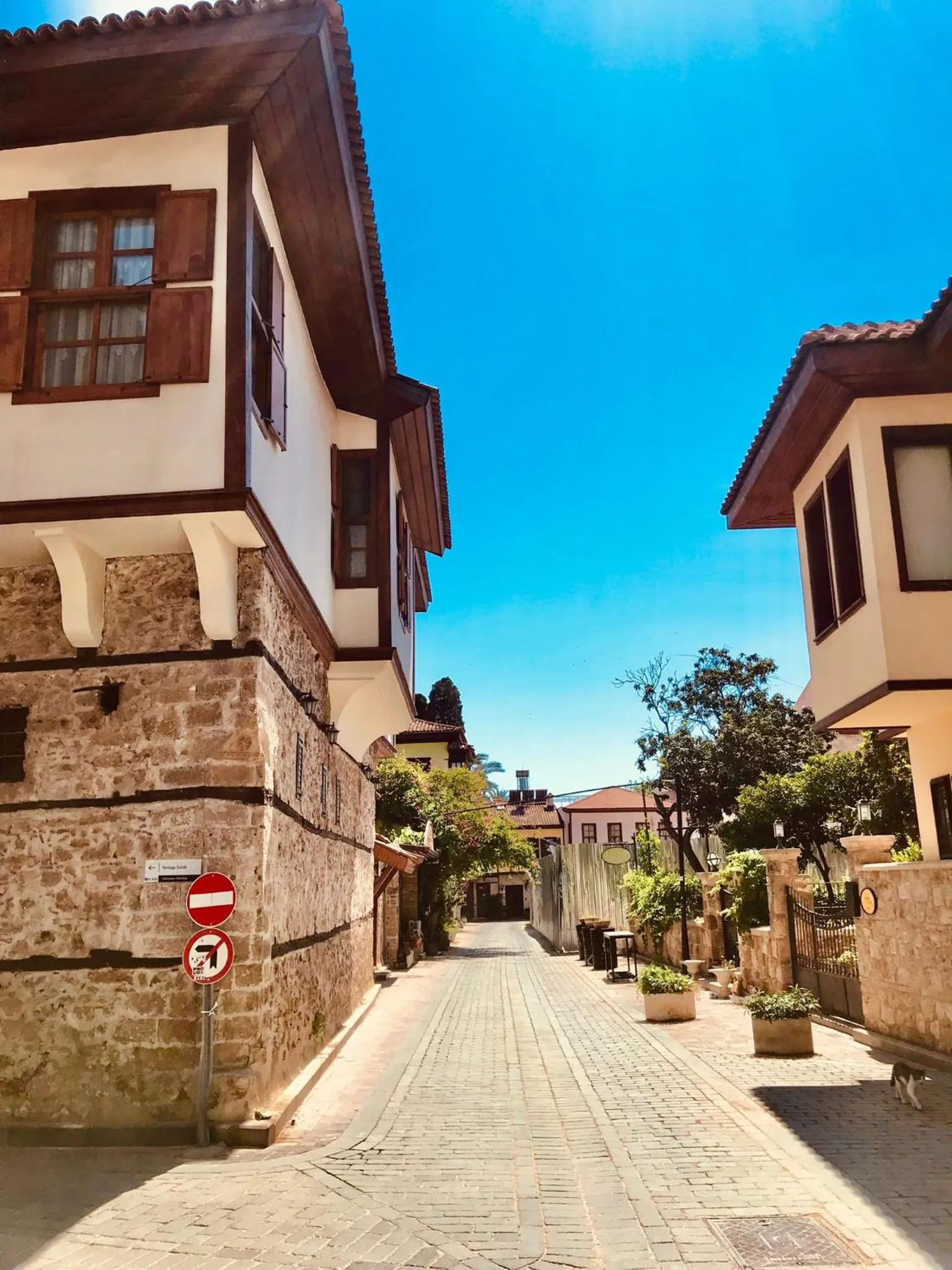 Property building in Cedrus Hotel