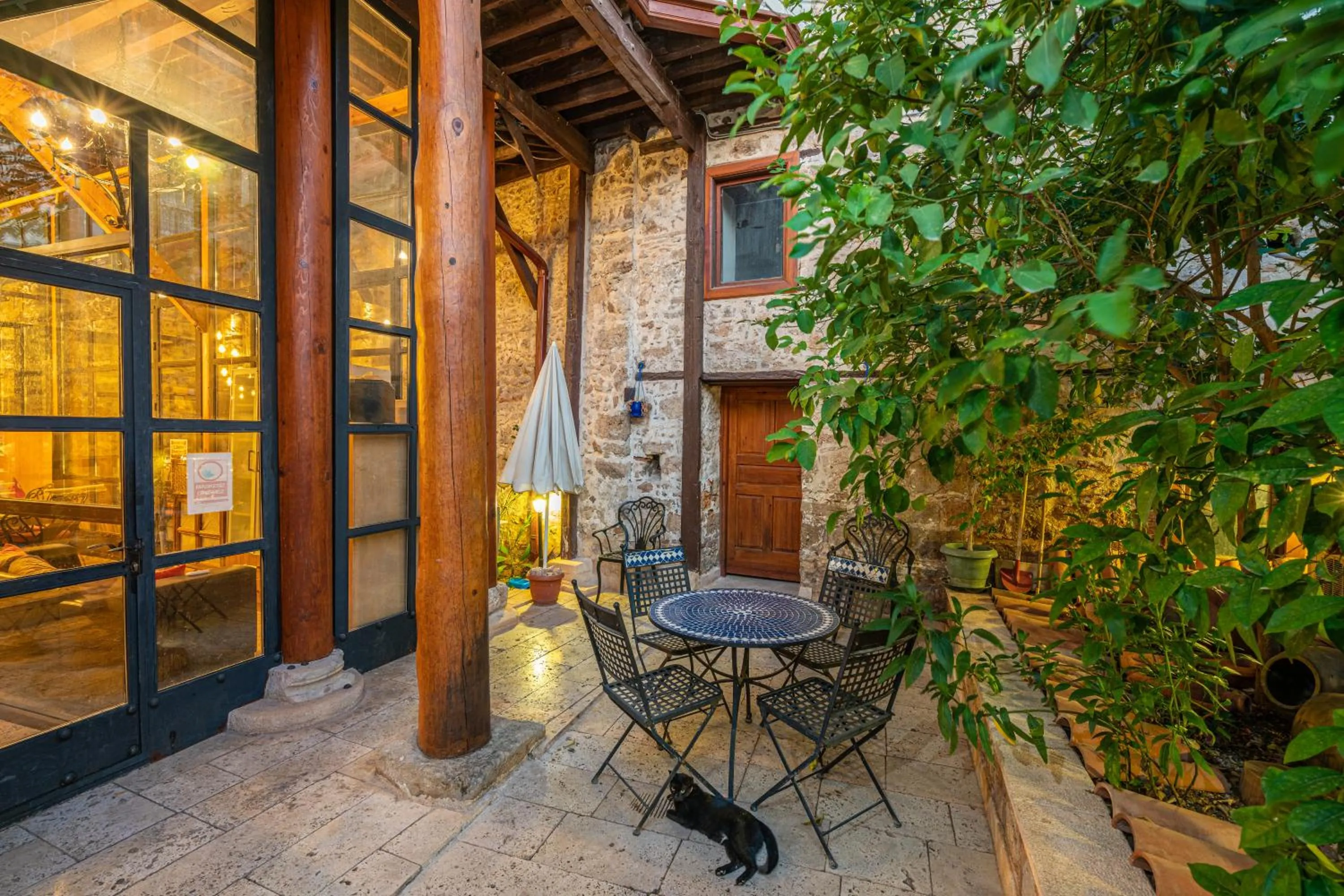 Garden in Cedrus Hotel