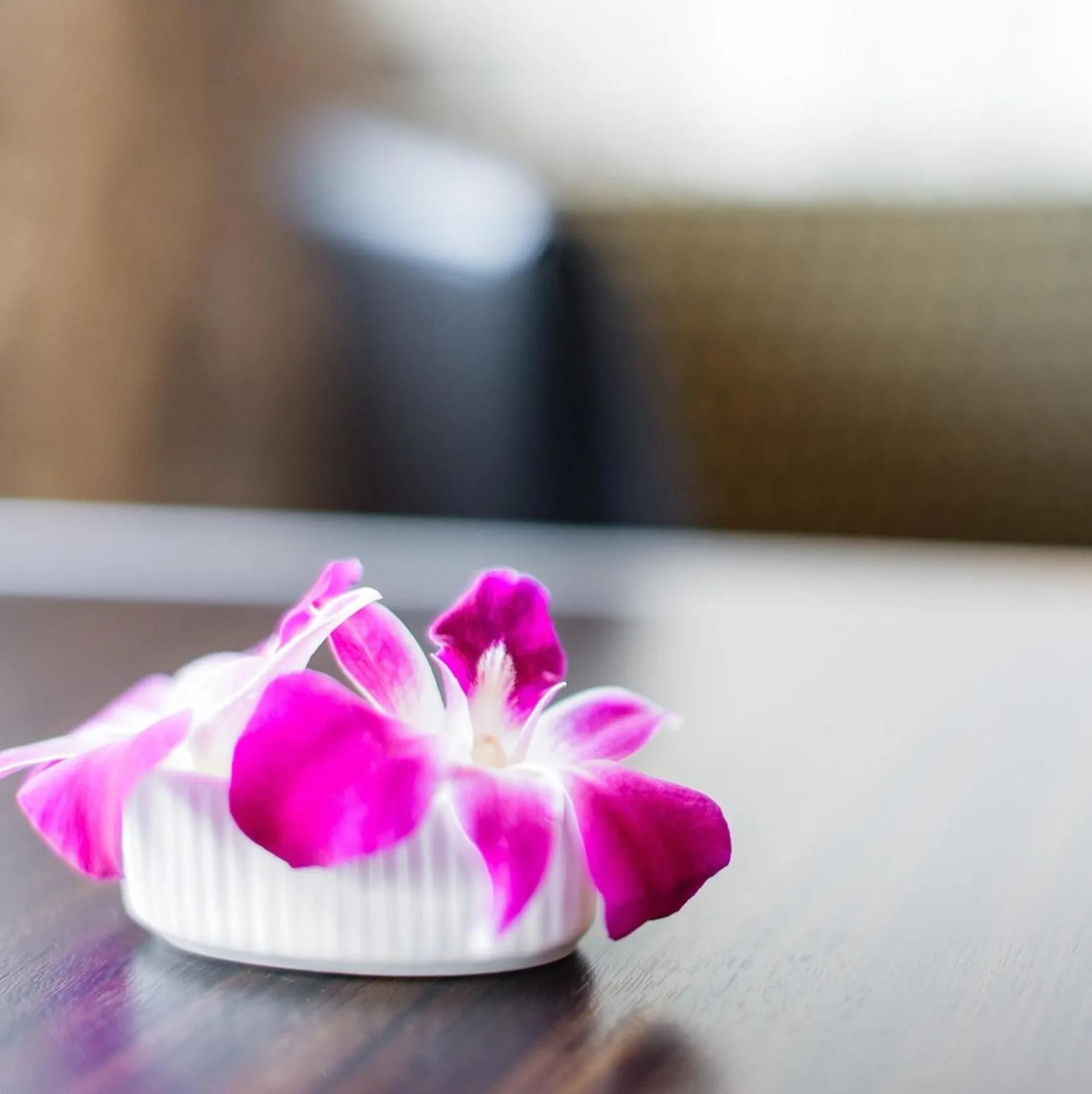 Hotels & Resort Feel