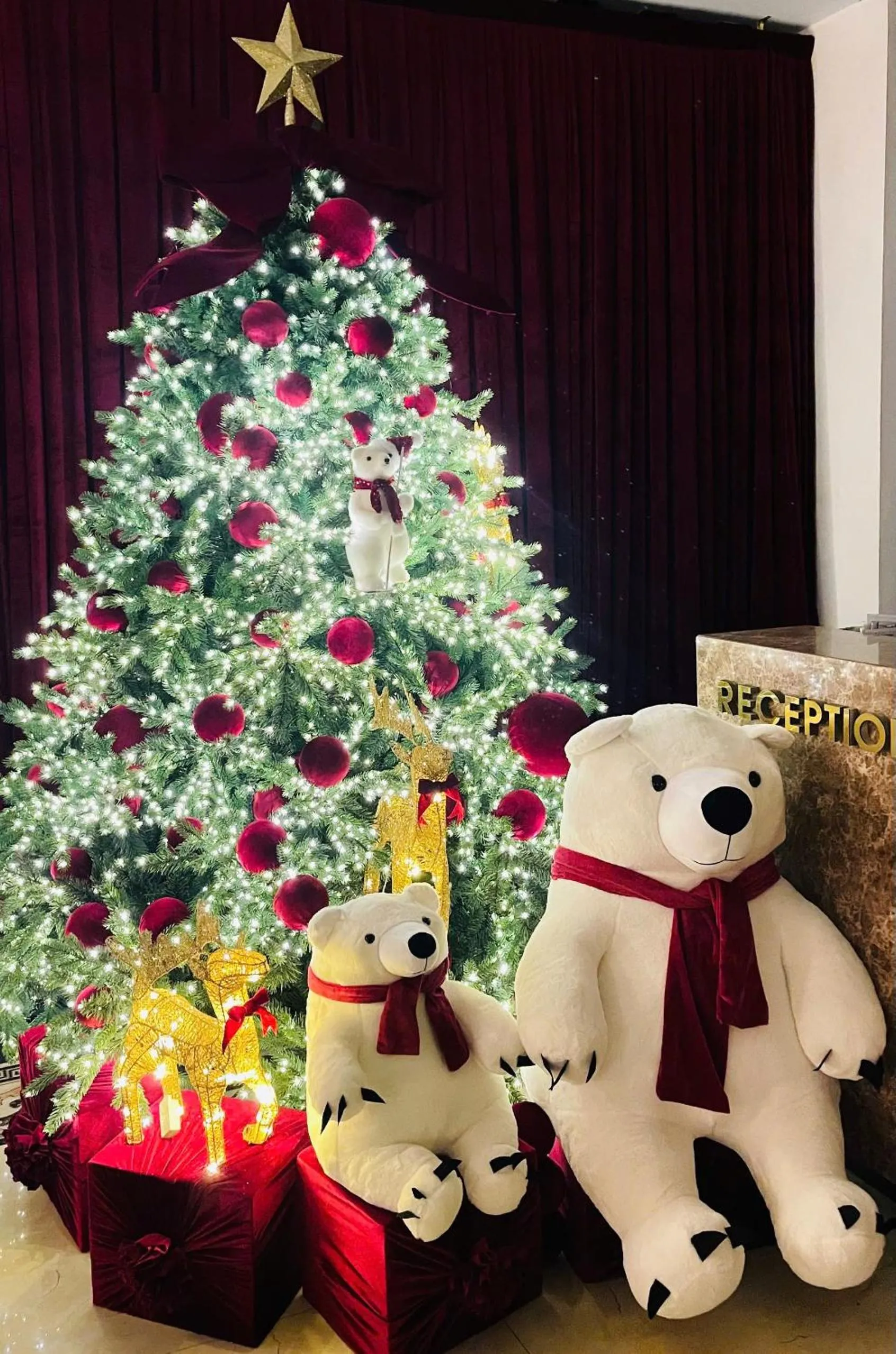 Salina Hotel Ninh Binh