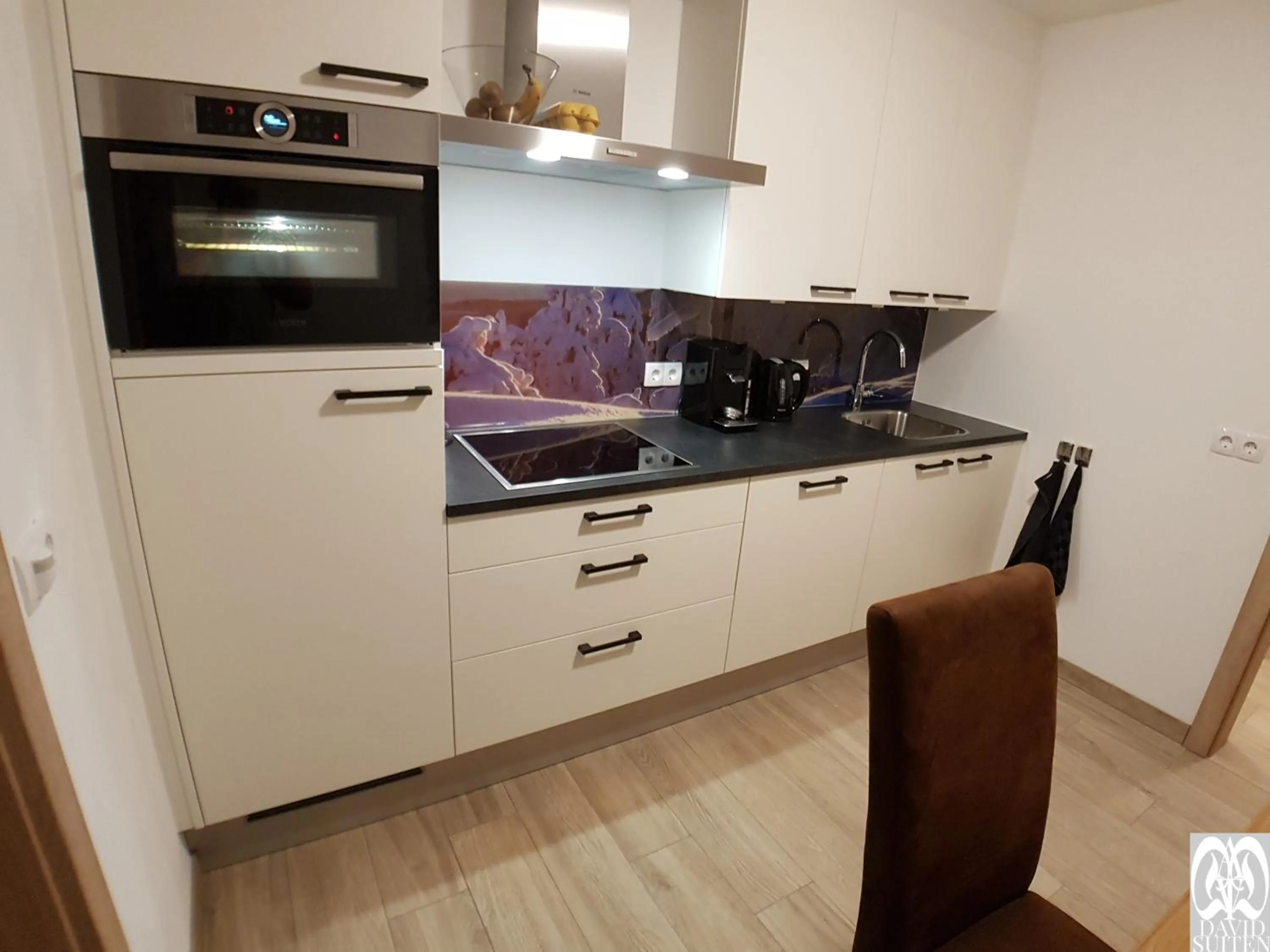 Kitchen or kitchenette in DAVID SUITEN