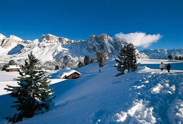 Natural landscape in Hotel Des Alpes