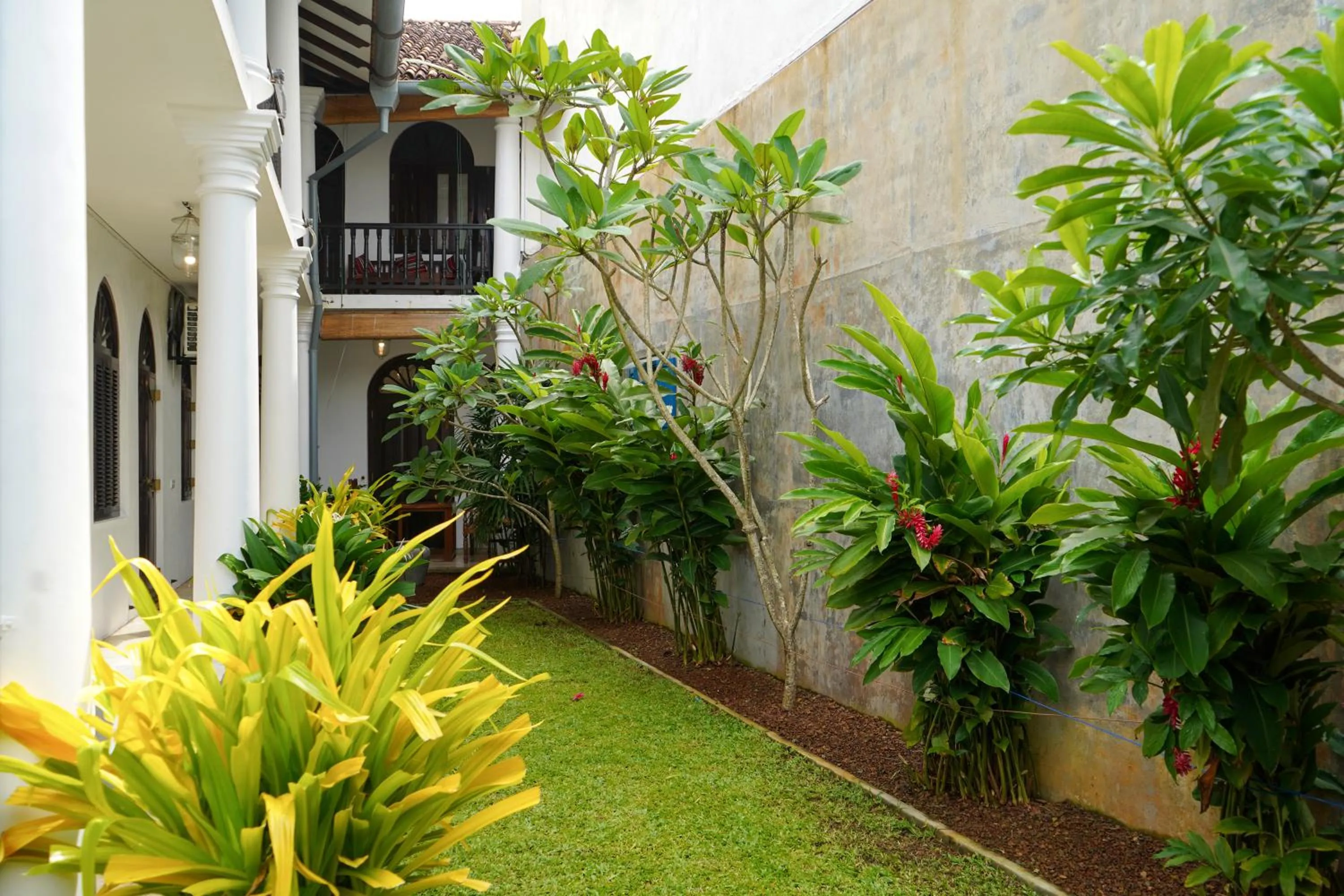 Garden in Fort Bliss