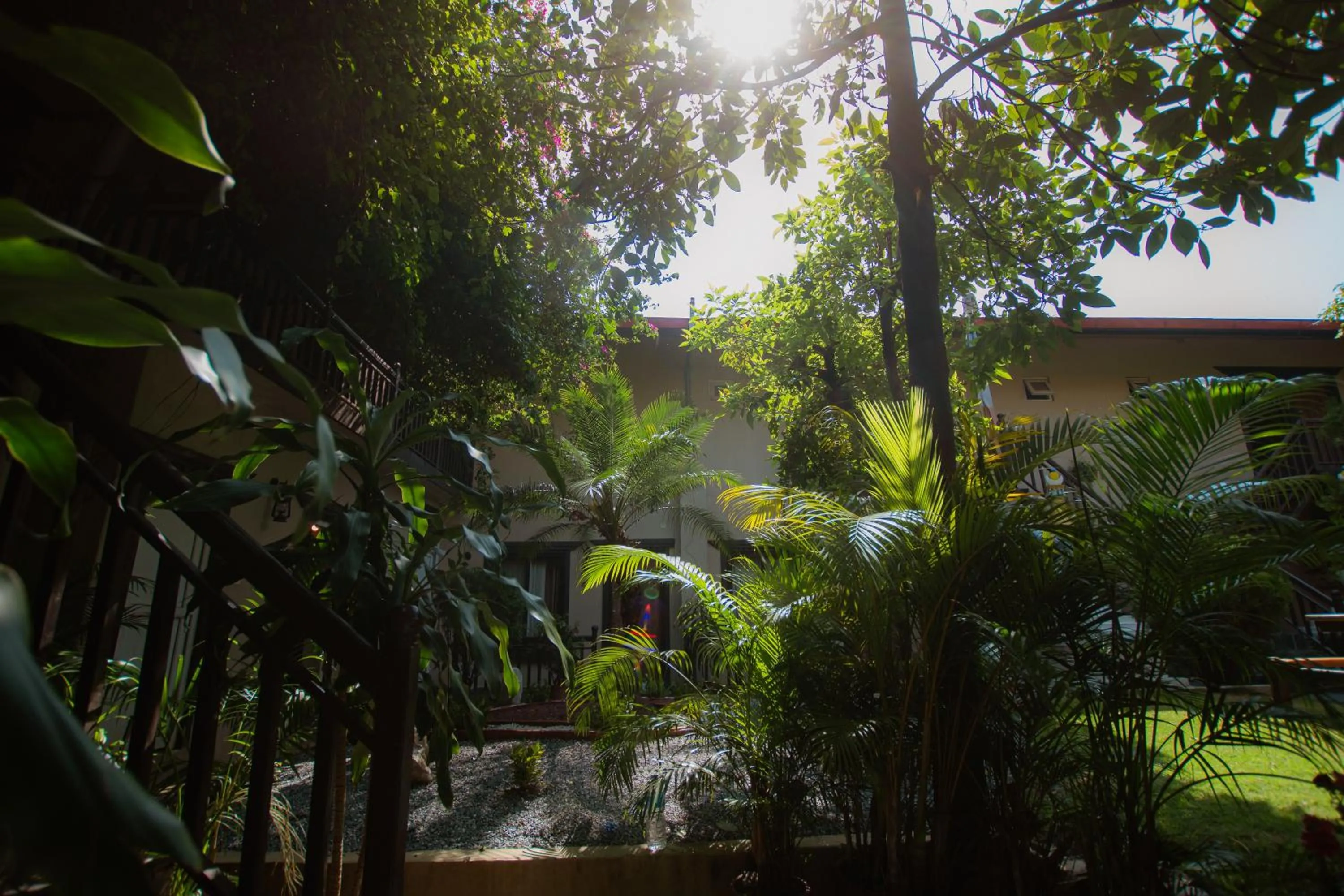 Garden view in Busy Bee Resort, Pokhara