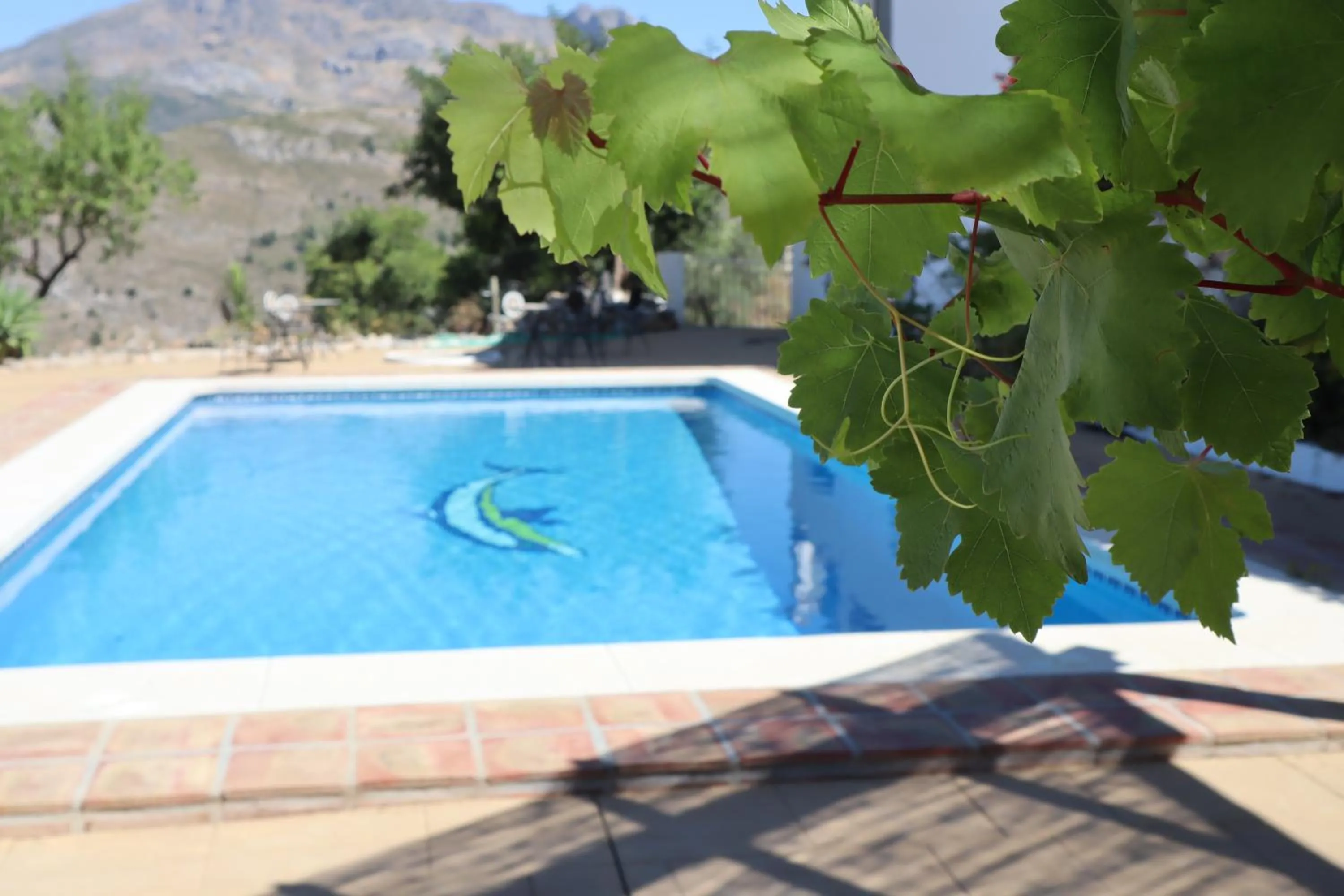 Pool view in Casa Arts guest rooms