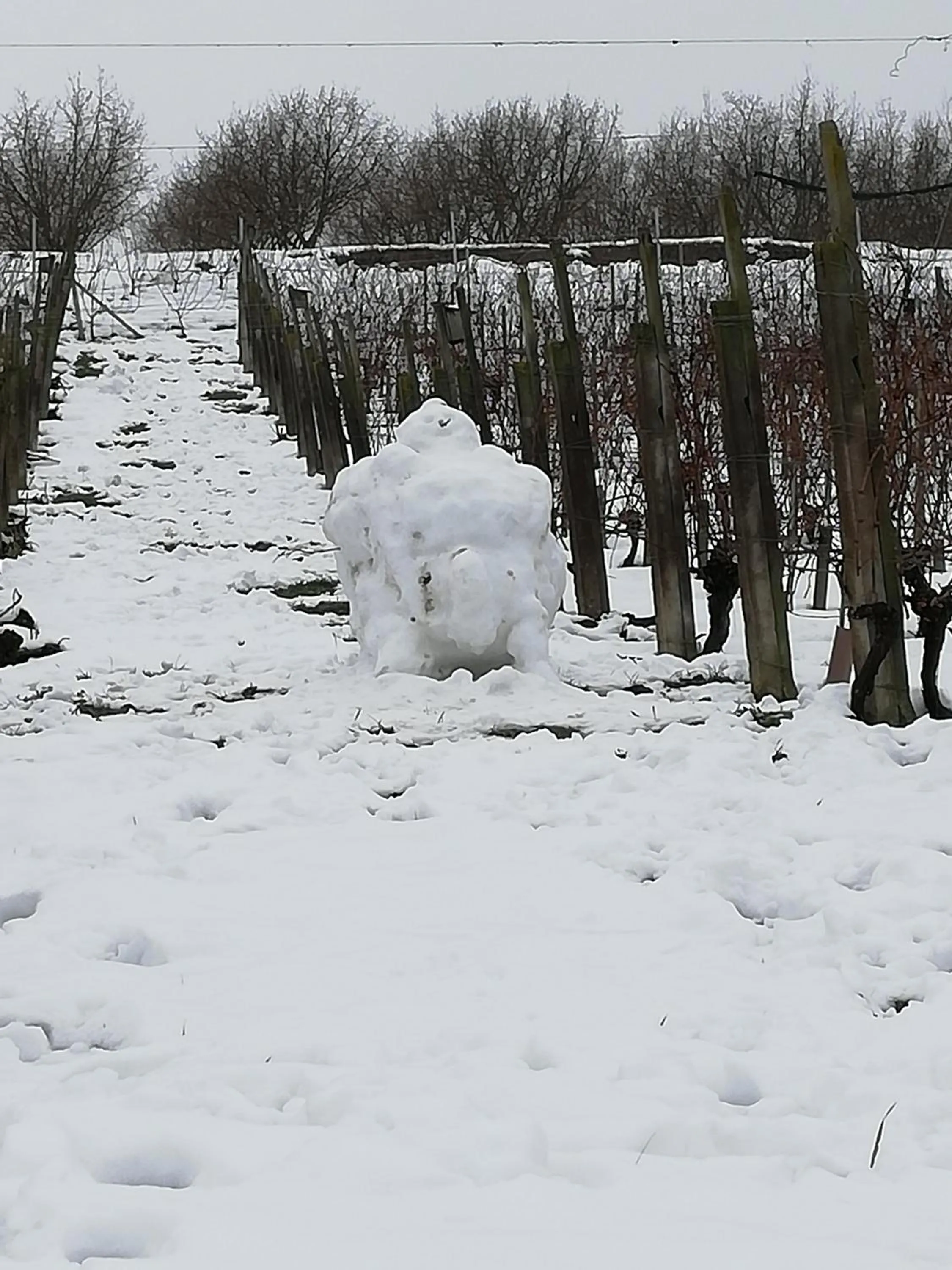Winter in La Giribaldina Winery & Farmhouse