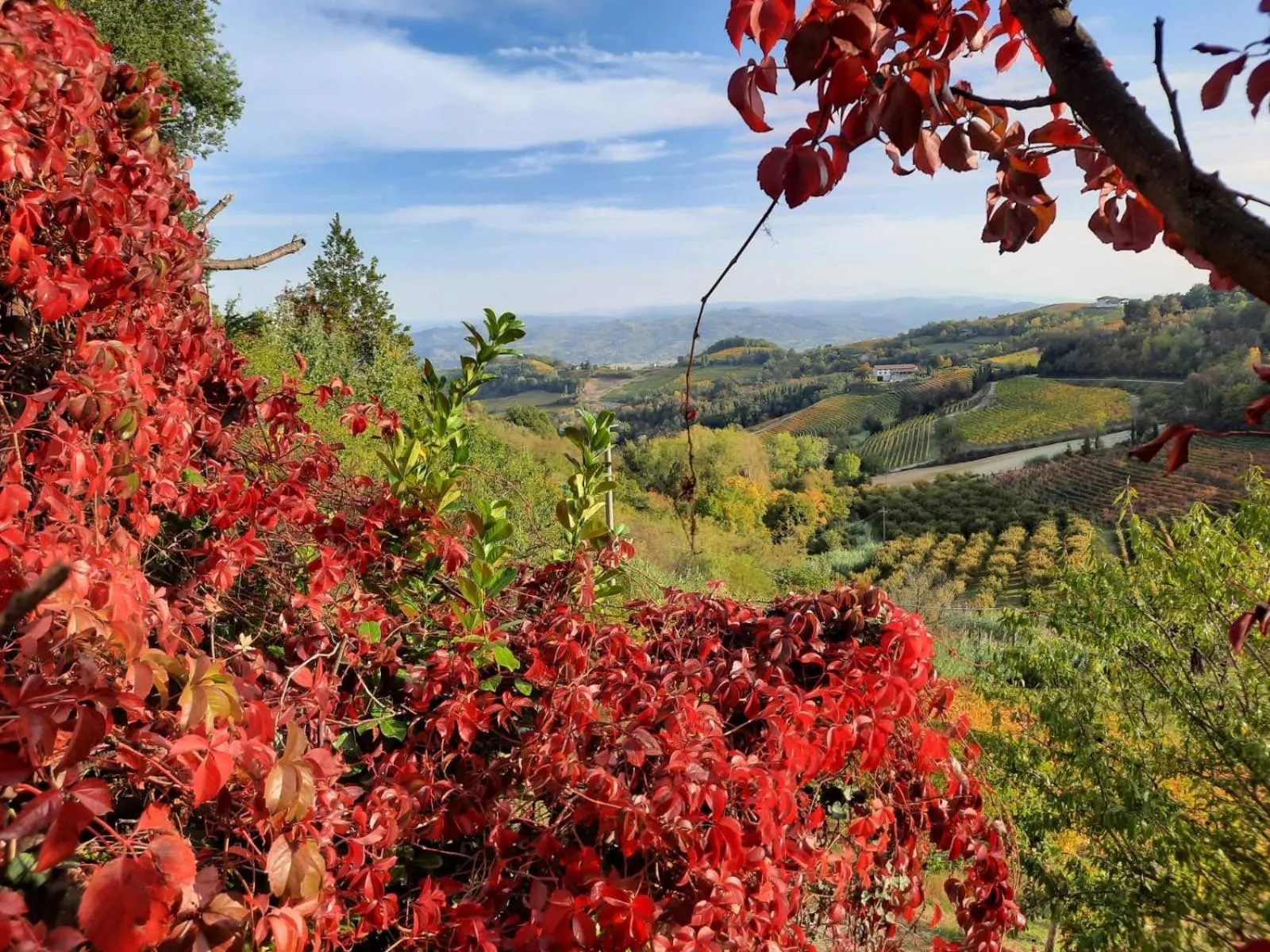 Autumn in La Giribaldina Winery & Farmhouse