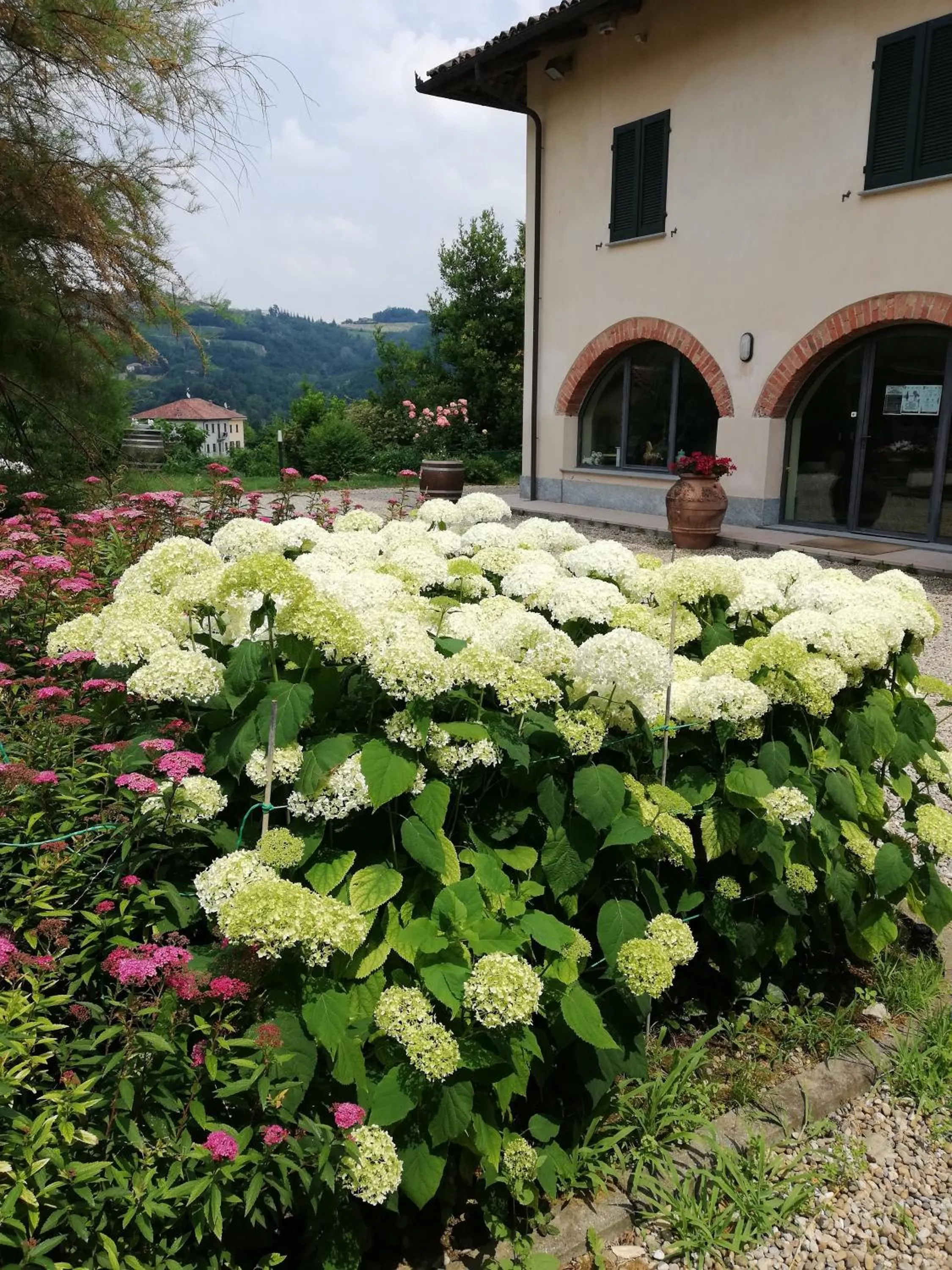 Garden in La Giribaldina Winery & Farmhouse