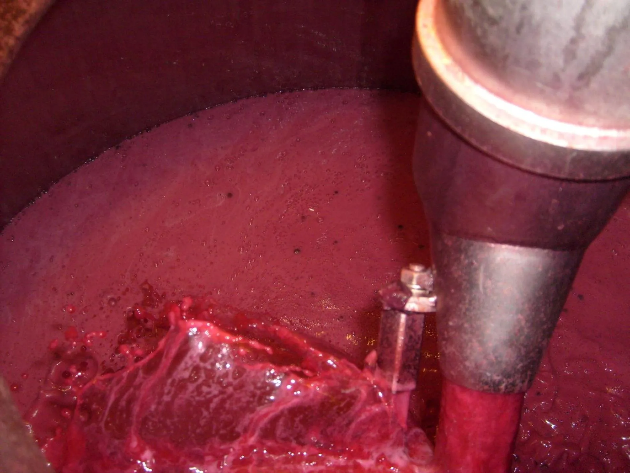 Activities in La Giribaldina Winery & Farmhouse