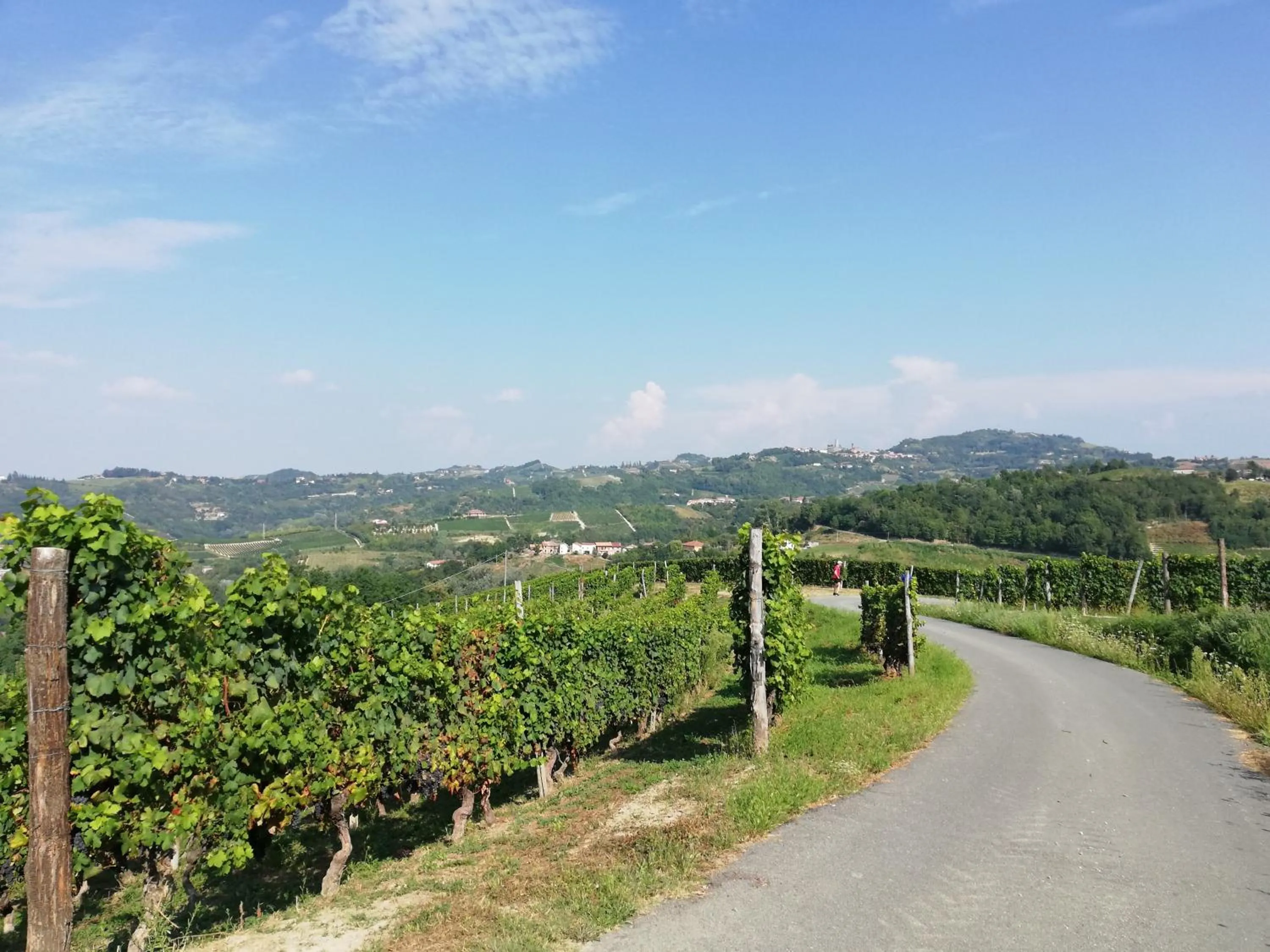 Quiet street view in La Giribaldina Winery & Farmhouse