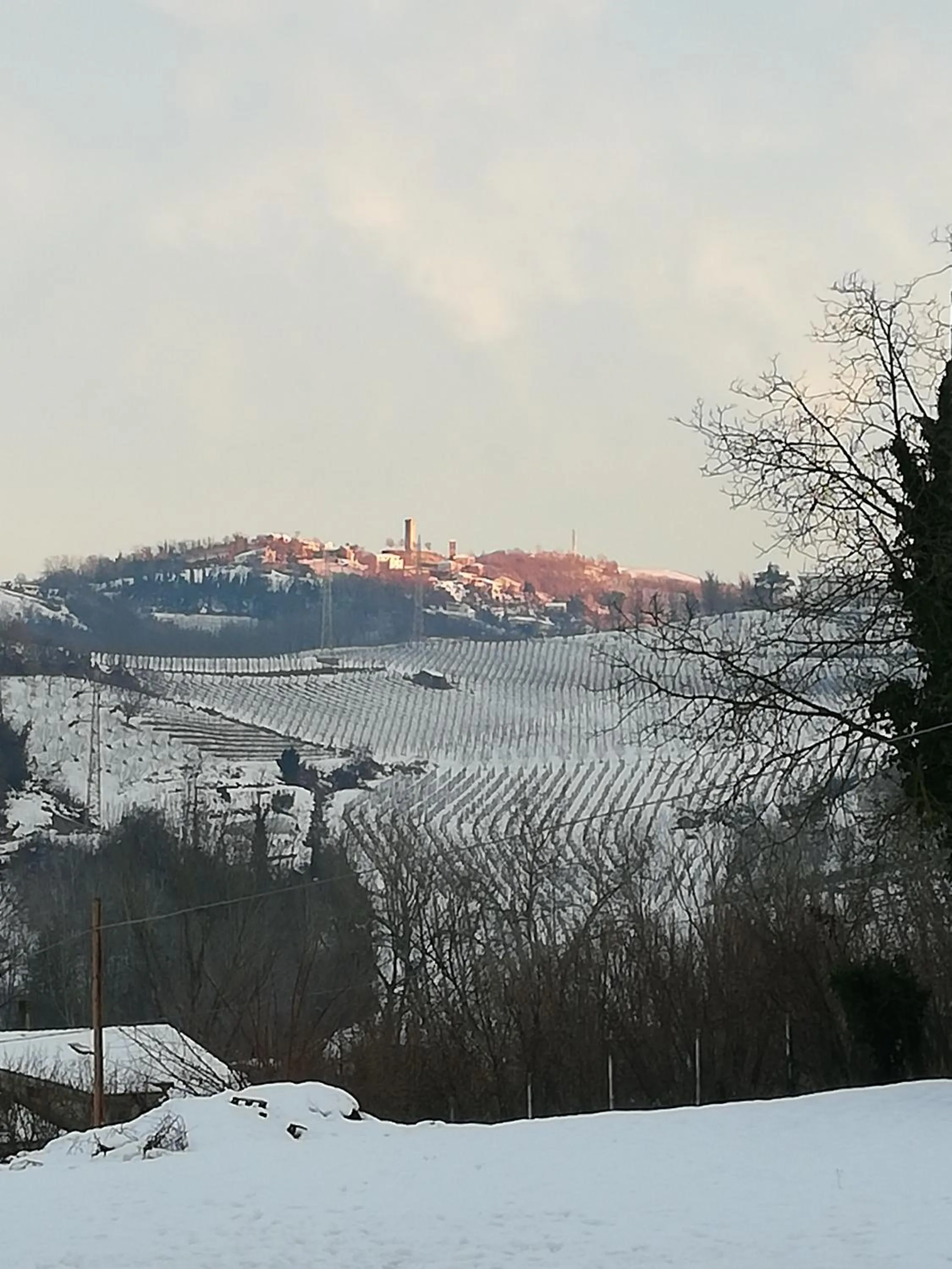 Natural landscape in La Giribaldina Winery & Farmhouse