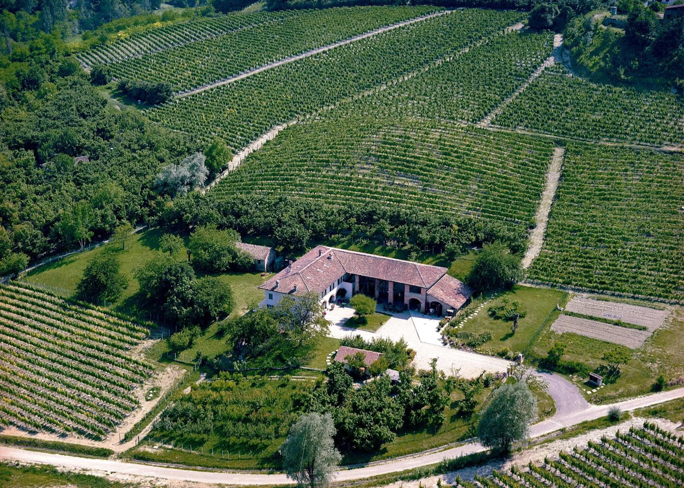 View (from property/room) in La Giribaldina Winery & Farmhouse