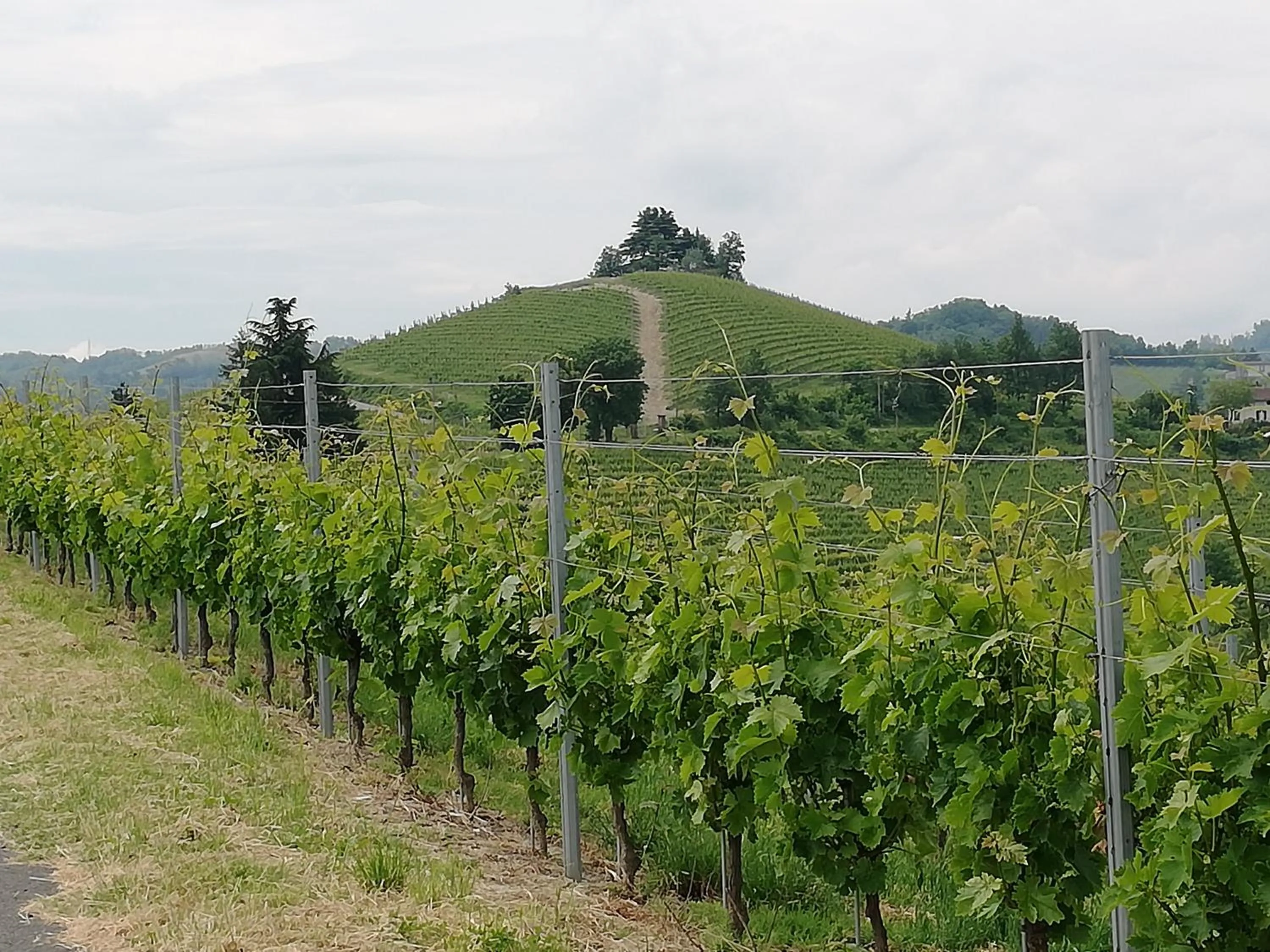 Spring in La Giribaldina Winery & Farmhouse