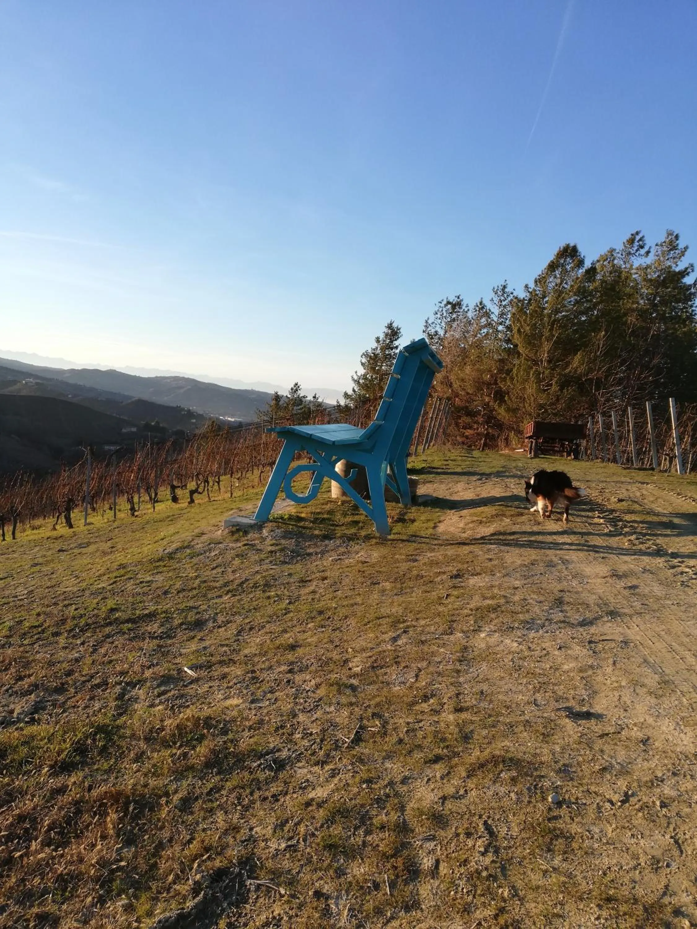 Natural landscape in La Giribaldina Winery & Farmhouse