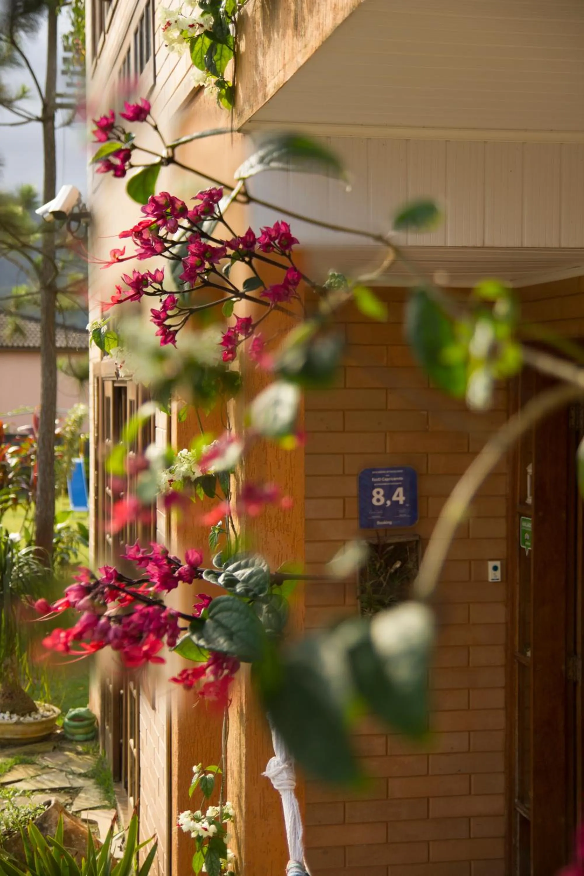 Day in EccO Capricornio