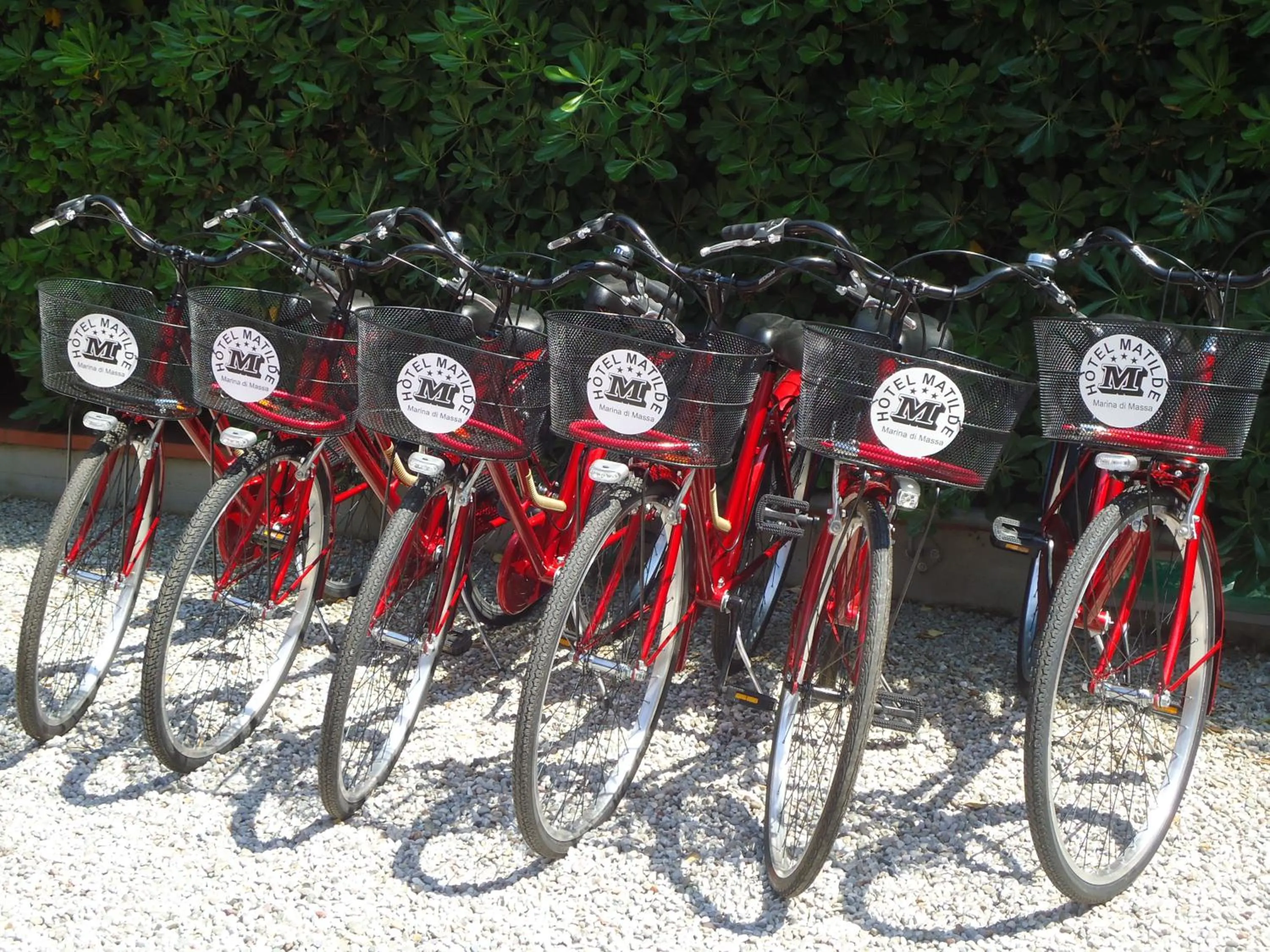 Cycling in Hotel Matilde
