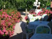 Balcony/Terrace in La Roseraie Biebler