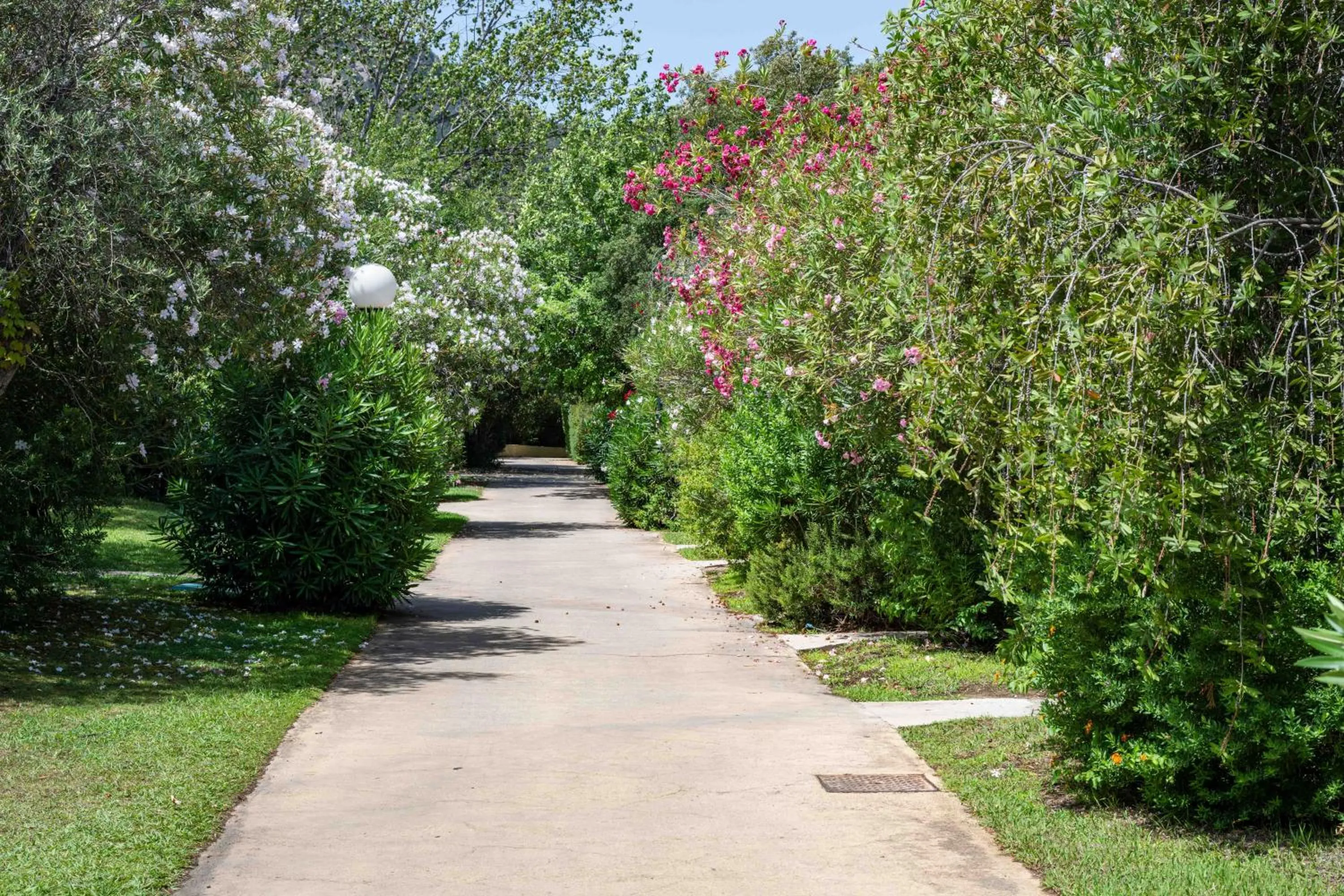 Garden in Perdepera Resort