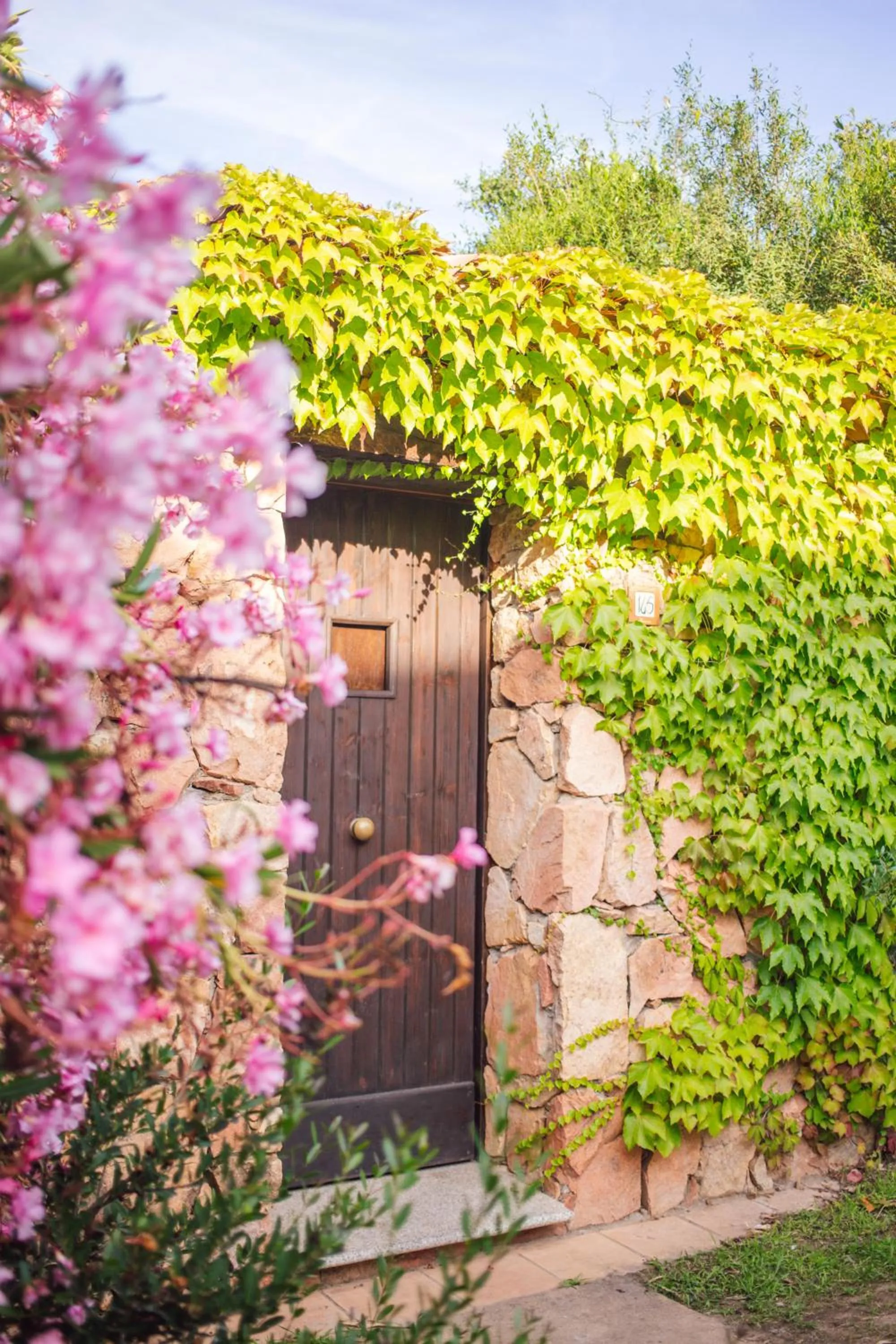 View (from property/room) in Perdepera Resort
