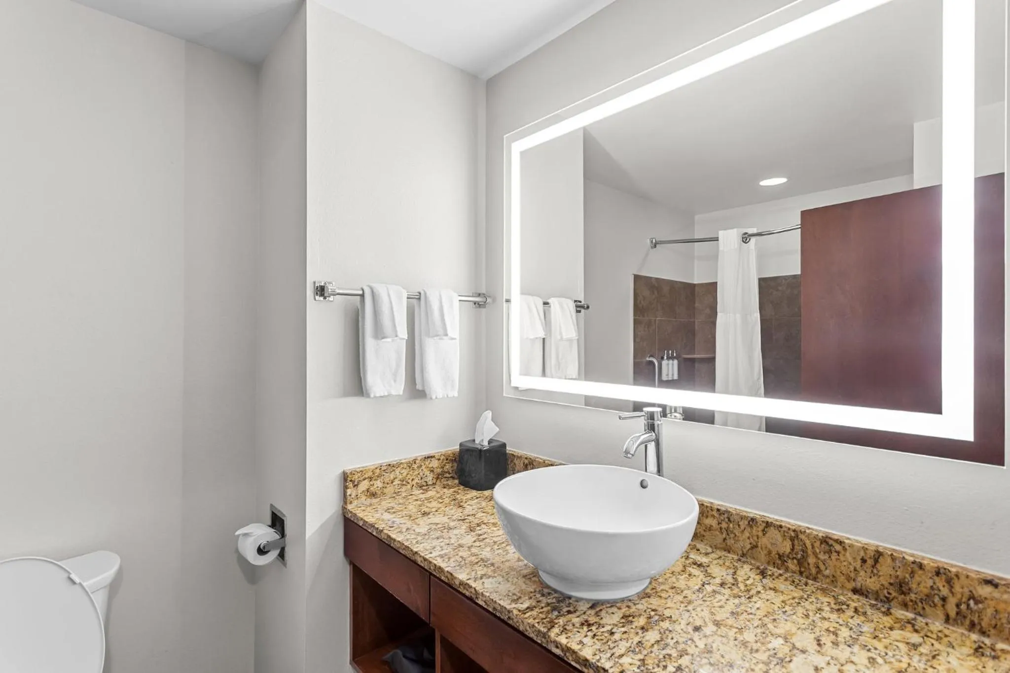 Bathroom in Holiday Inn Express & Suites Cross Lanes by IHG