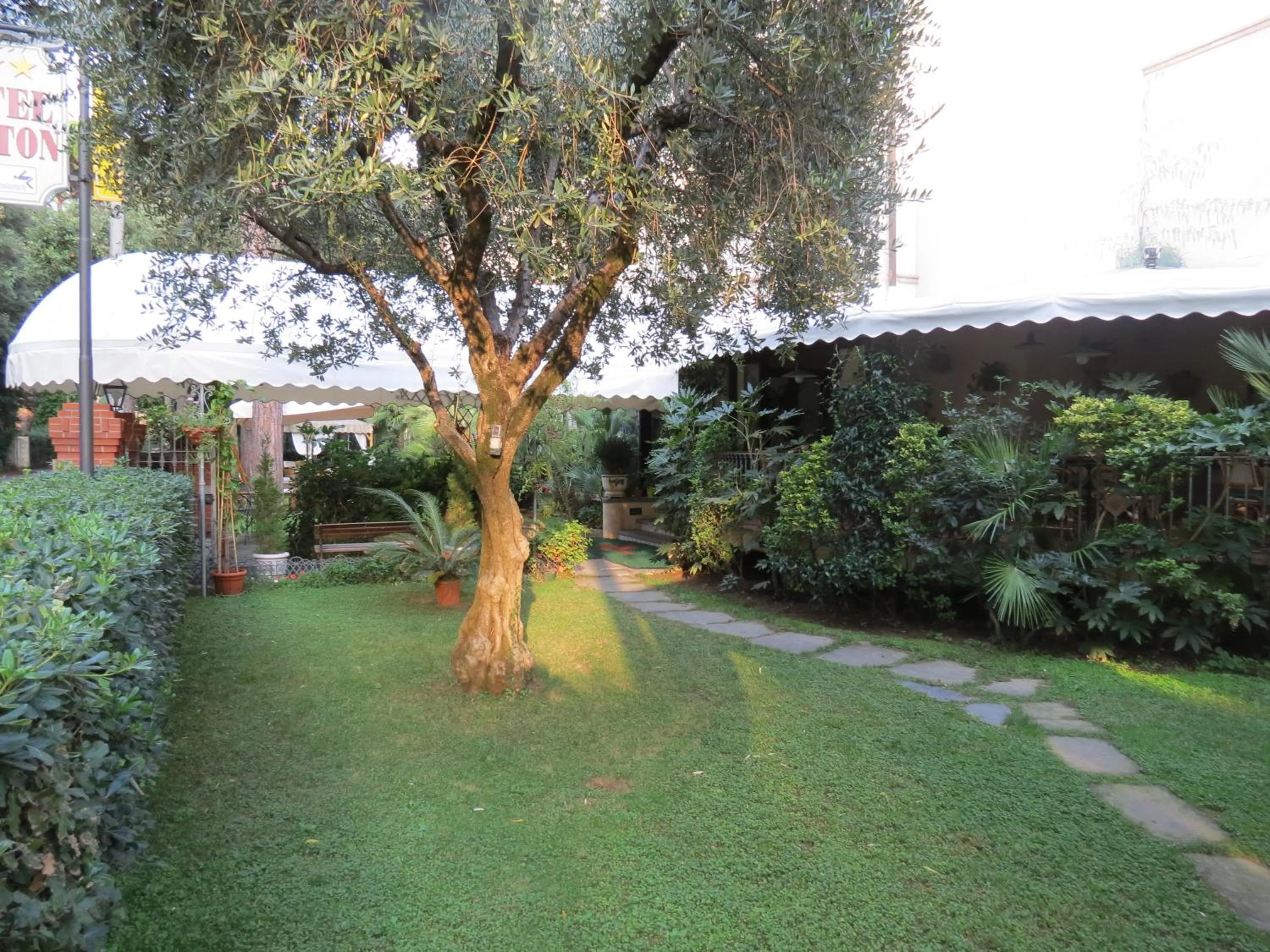 Garden in Hotel Kyrton