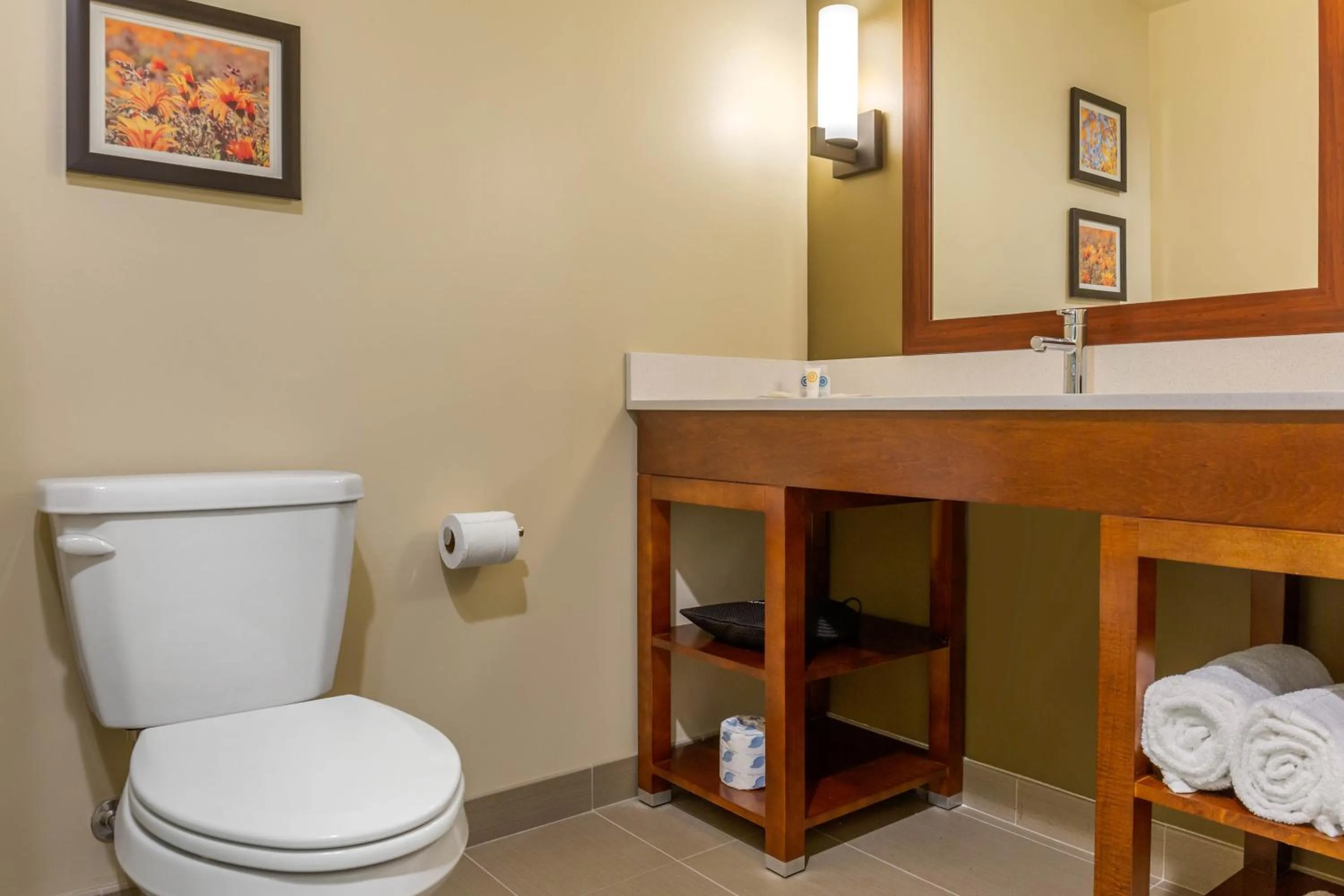 Bathroom in Comfort Inn & Suites Gap Amish Country