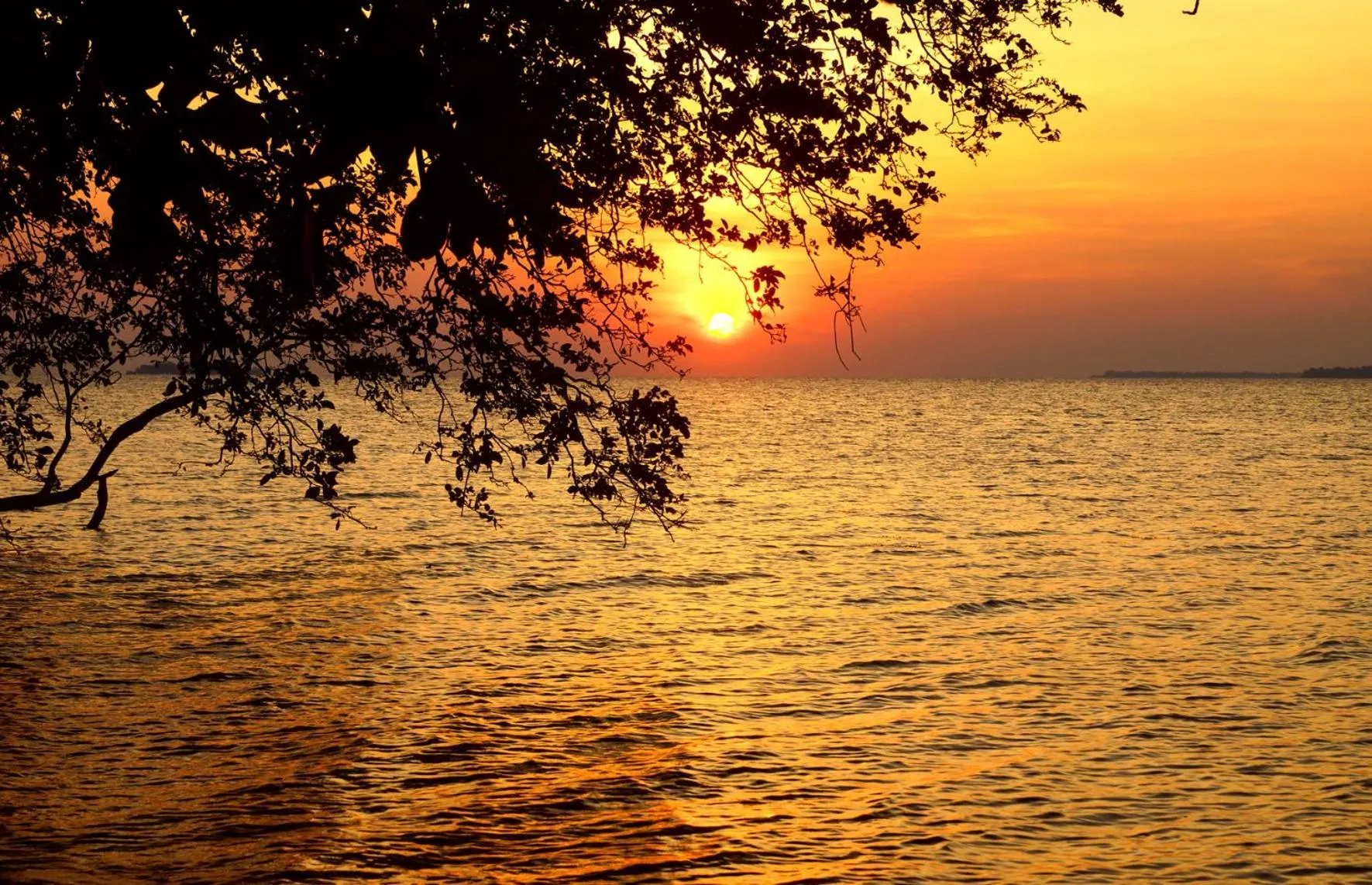 View (from property/room) in Alam Kita