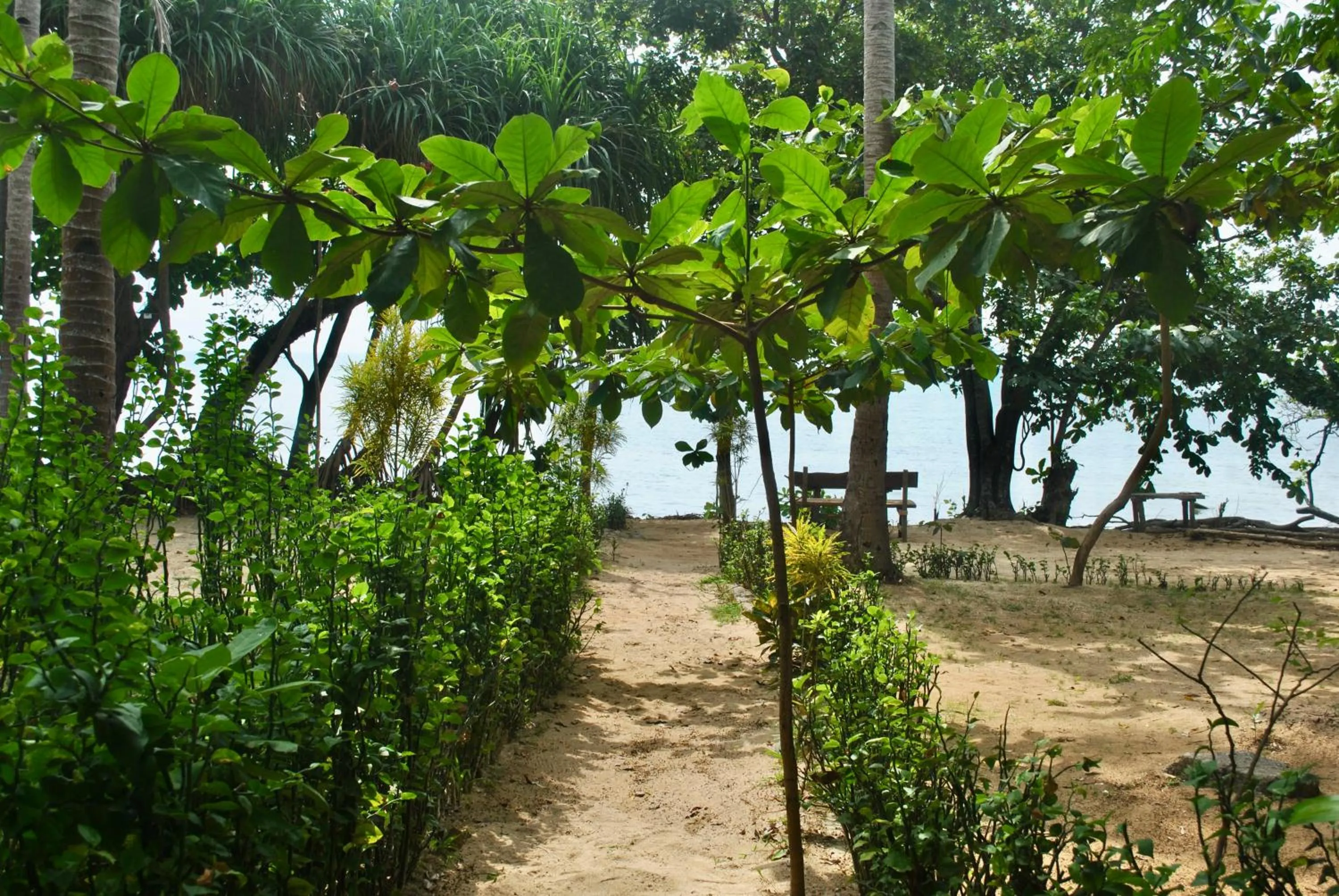 Natural landscape in Alam Kita