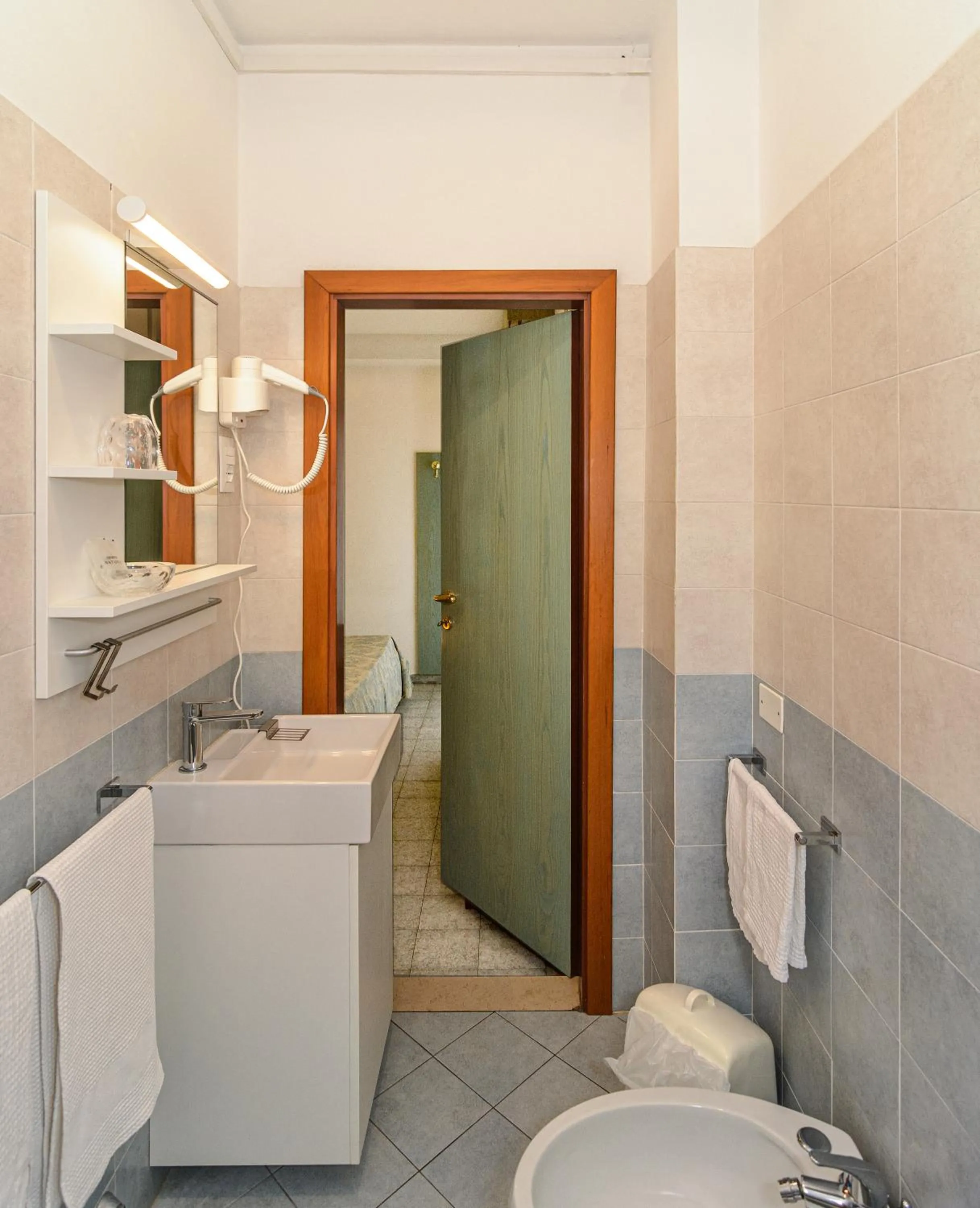 Toilet in Hotel Paris