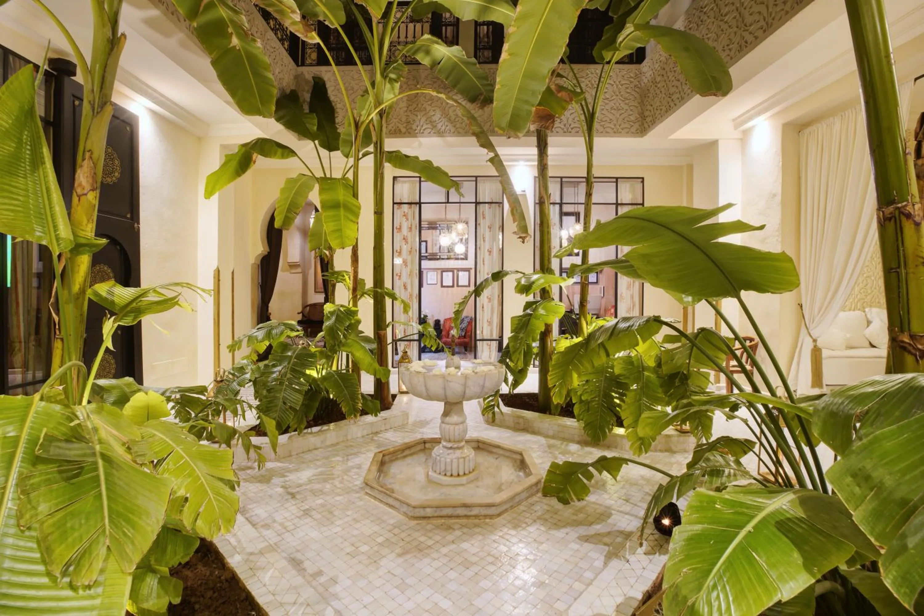 Garden in Riad Kheirredine