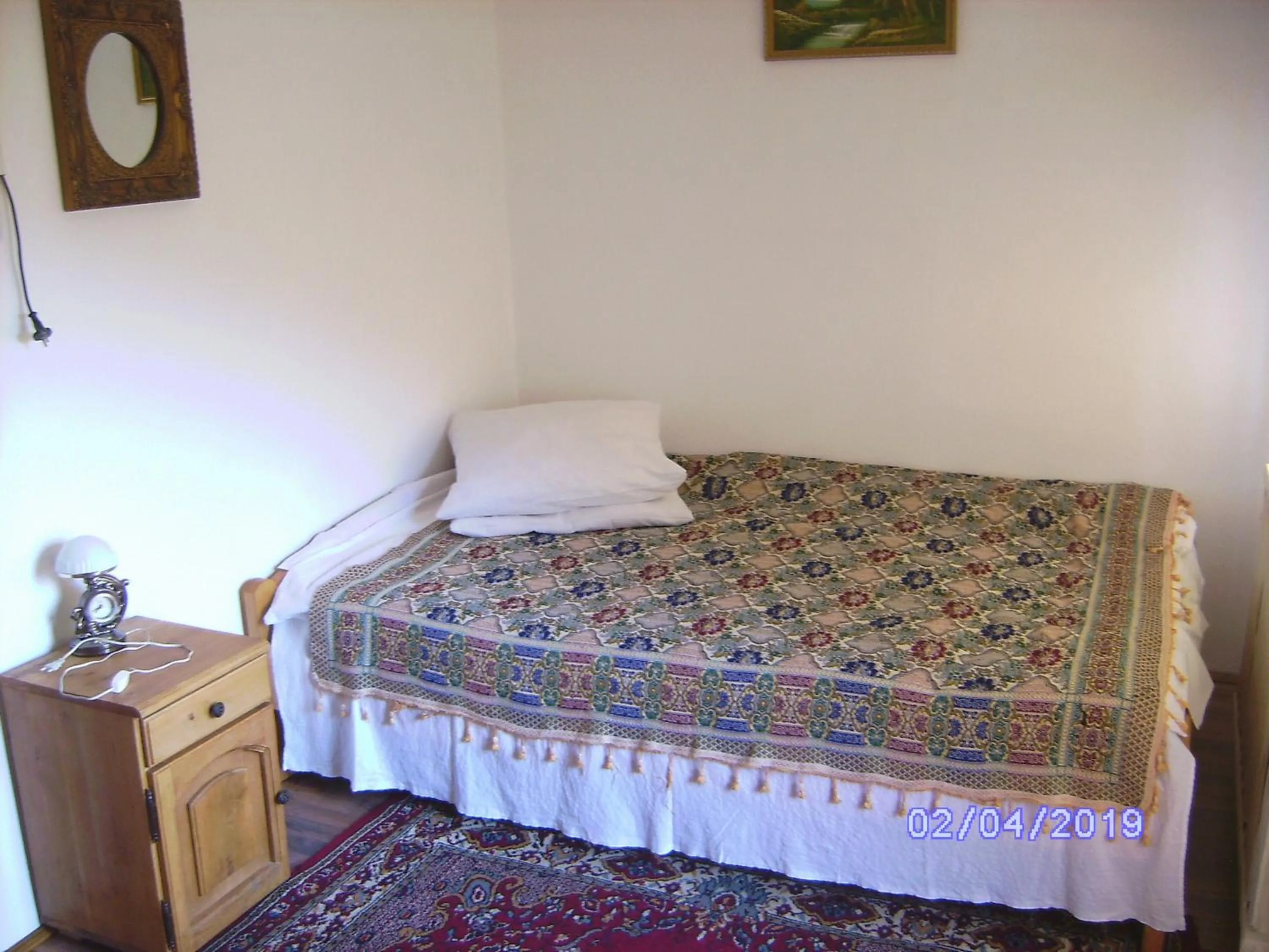 Queen Room with Shared Bathroom in Pensiunea Irina 1 si 2